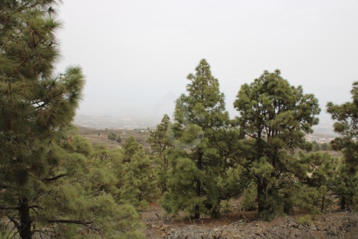  for sale plot San Miguel De Abona Zona Sur 2