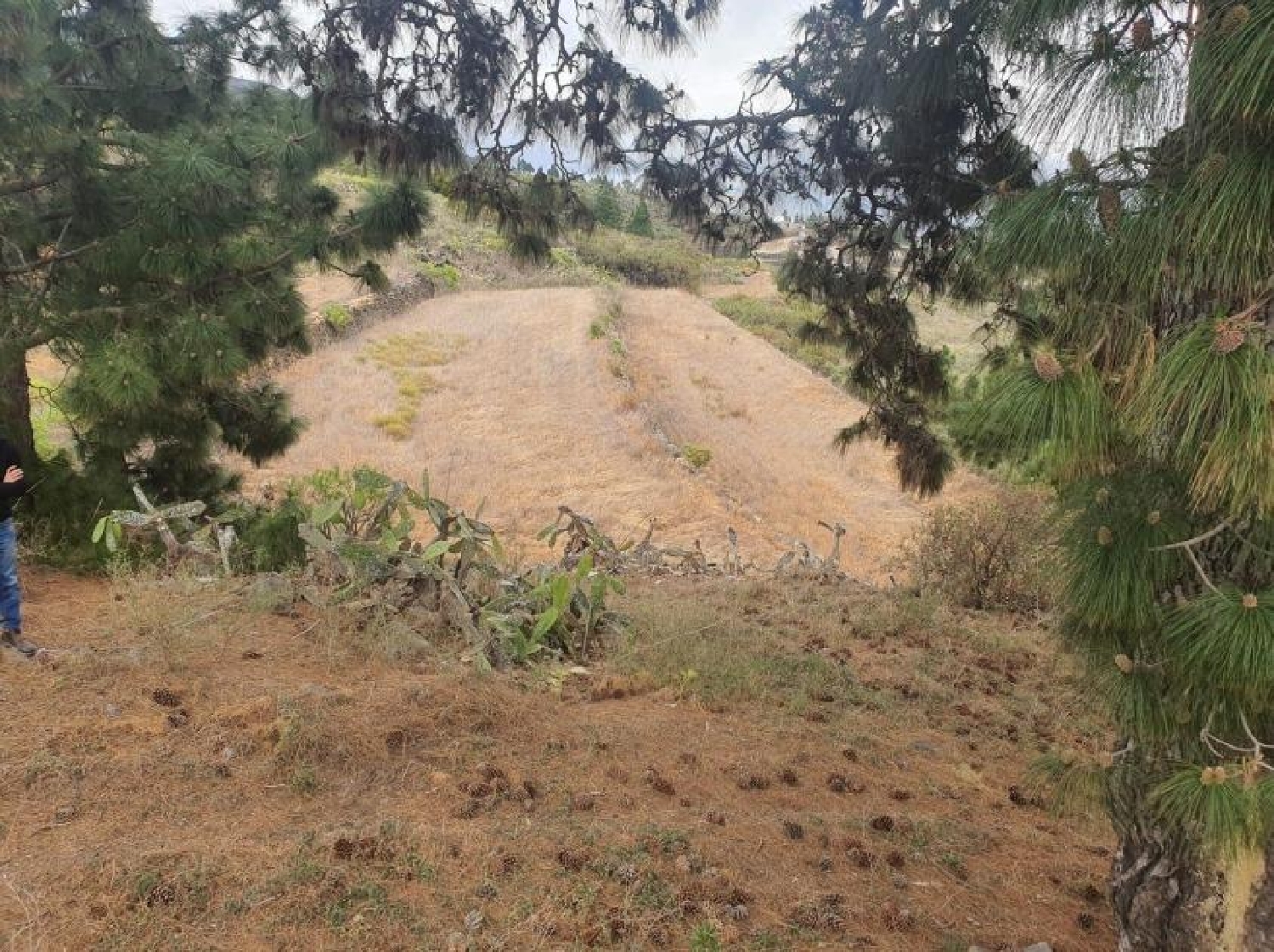  for sale plot San Miguel De Abona Zona Sur 3