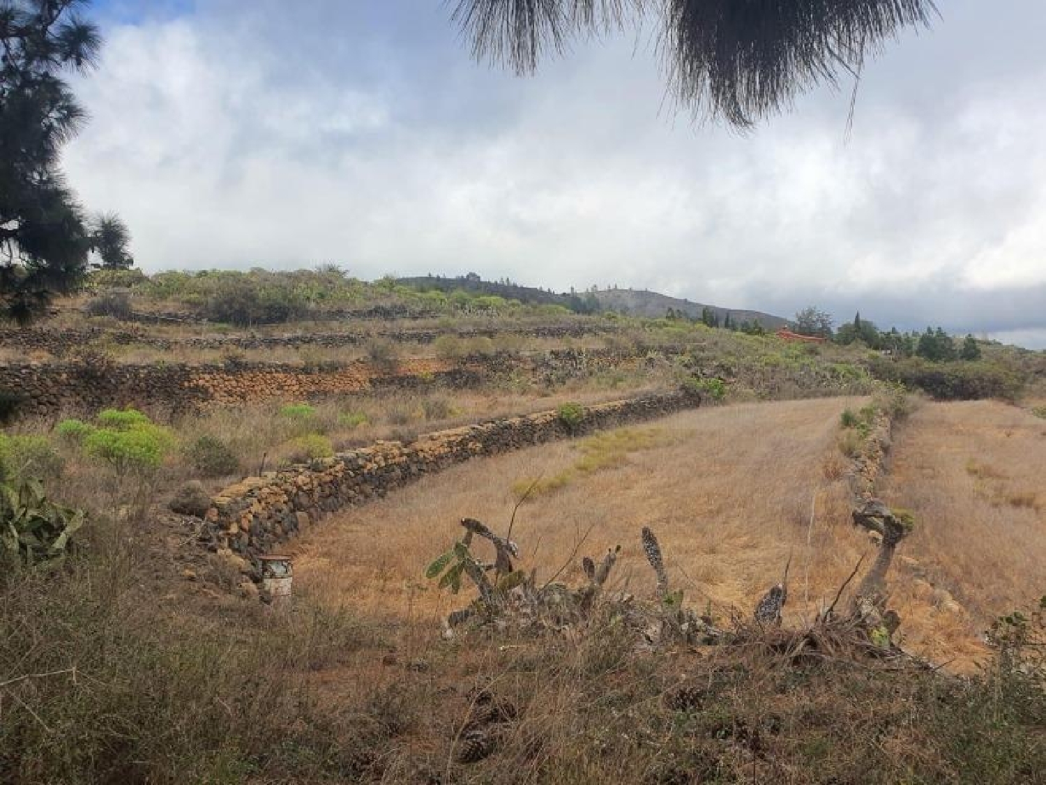 for sale plot San Miguel De Abona Zona Sur 7