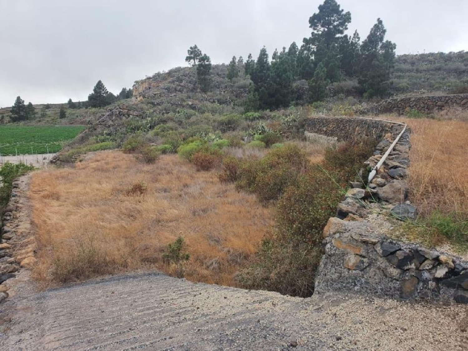 for sale plot San Miguel De Abona Zona Sur 8
