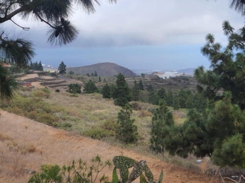 San Miguel De Abona Zona Sur plot foto 6305458