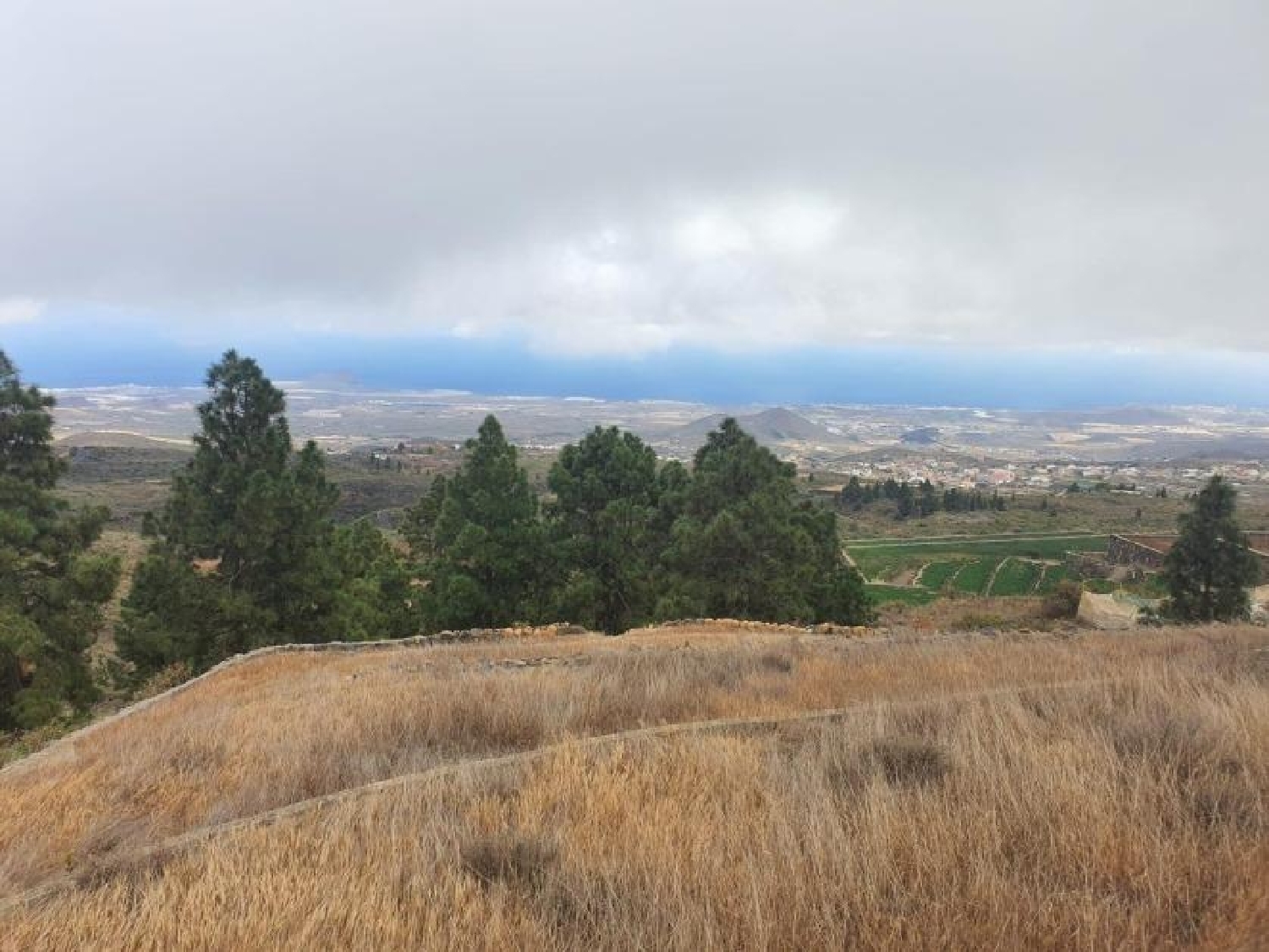  for sale plot San Miguel De Abona Zona Sur 5