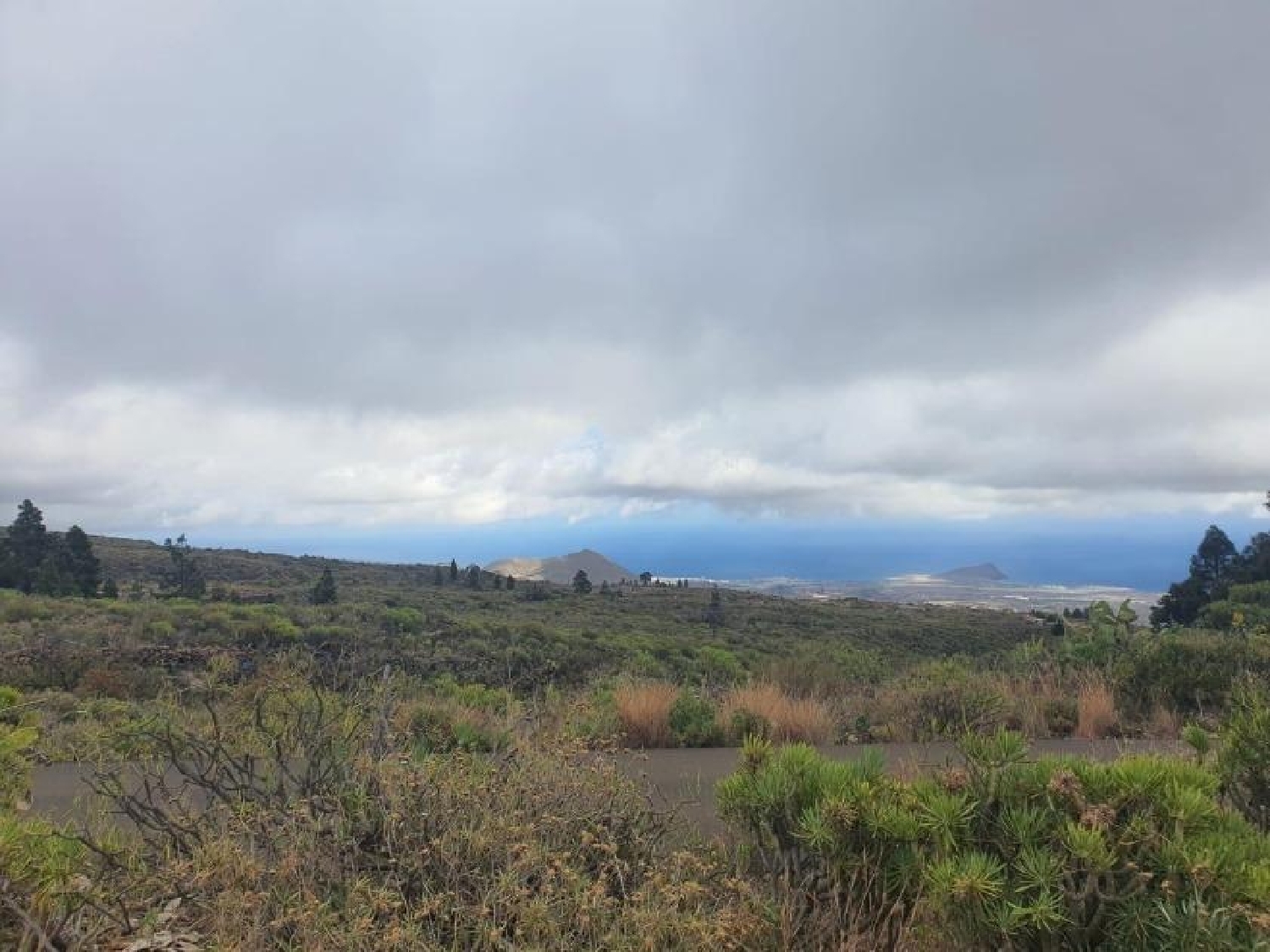  for sale plot San Miguel De Abona Zona Sur 6