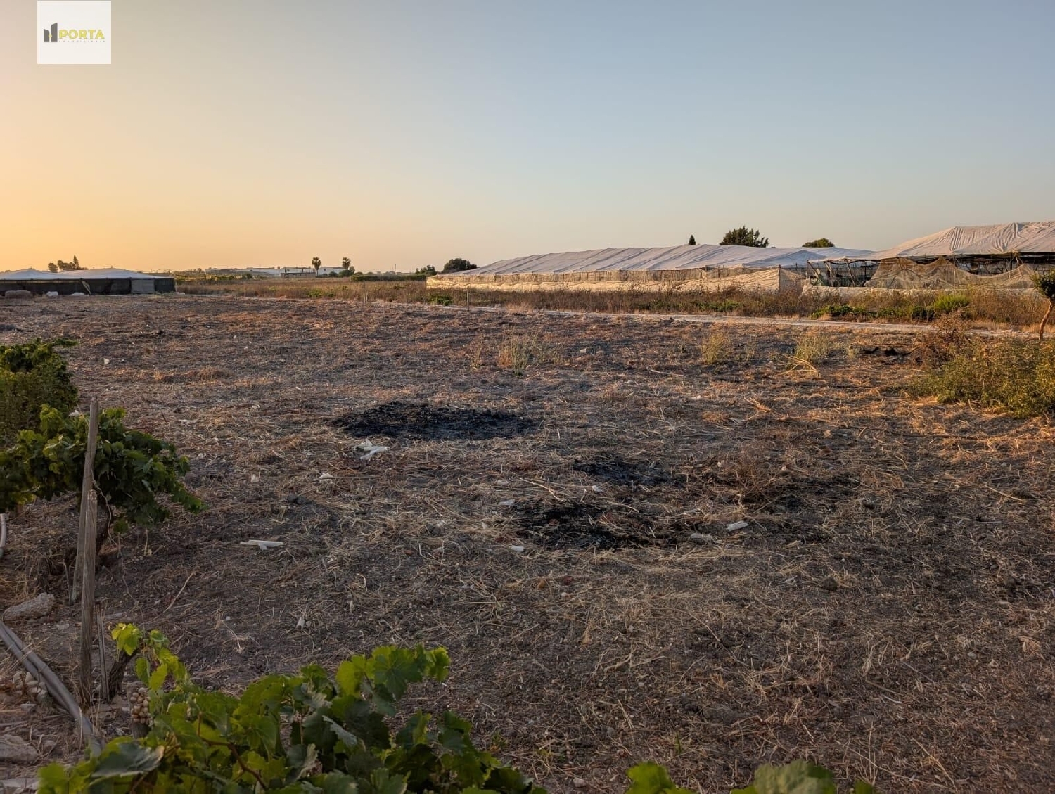  for sale plot Sanlúcar De Barrameda Costa Noroeste 3