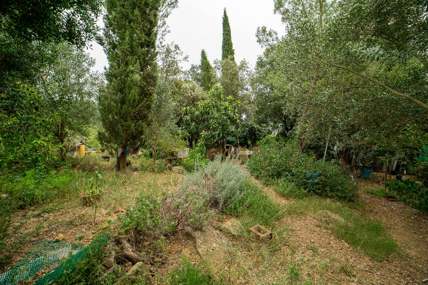  for sale plot Sant Gregori Gironès 7