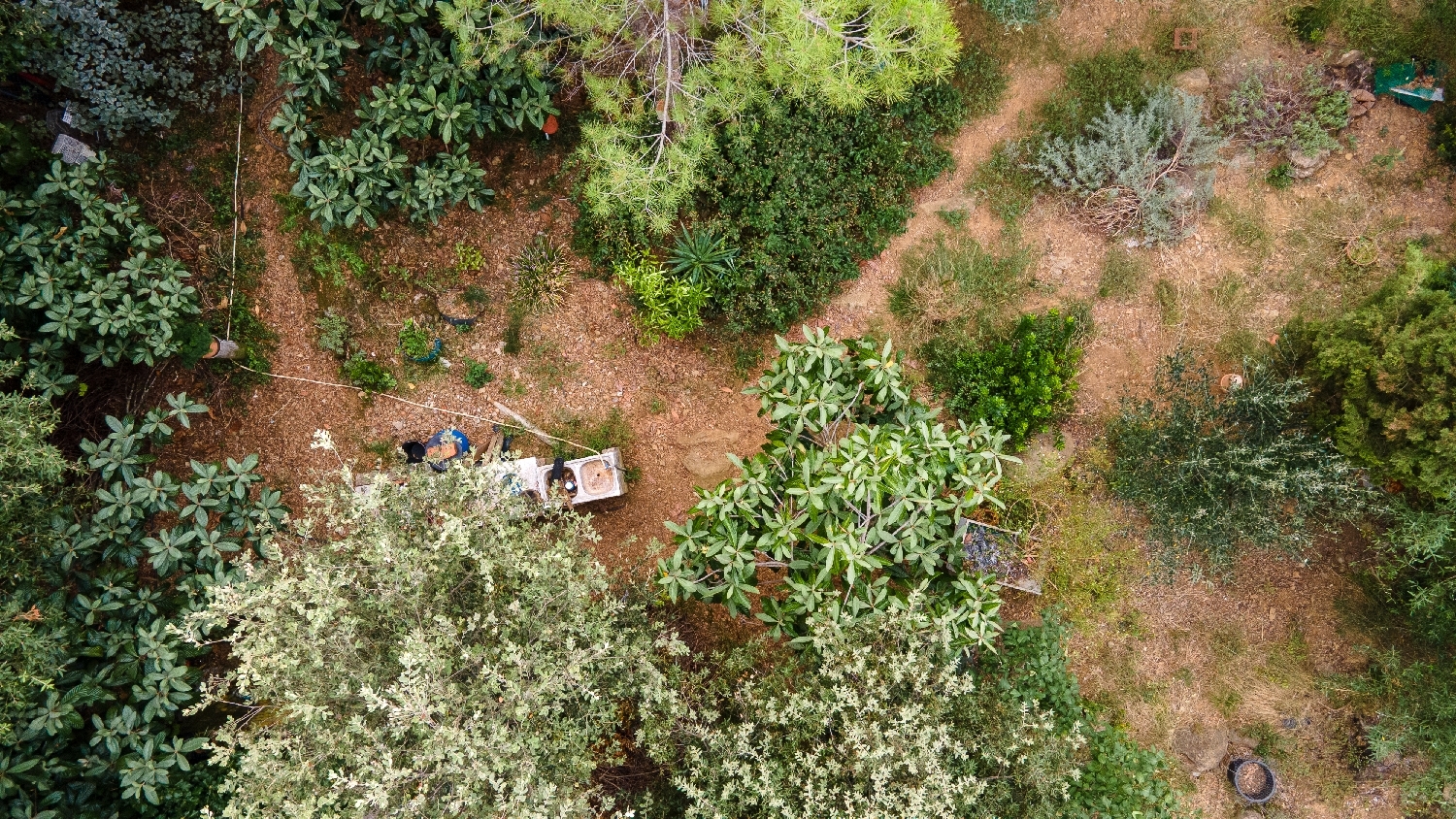  for sale plot Sant Gregori Gironès 8