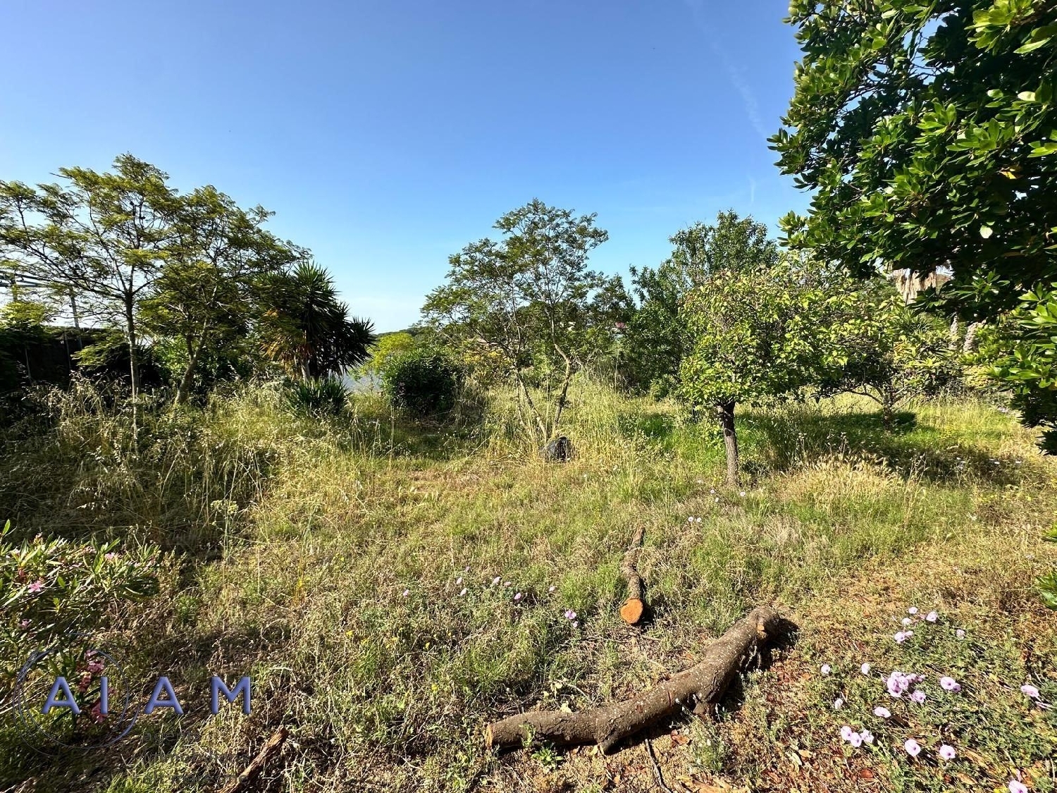  for sale plot Sant Pol De Mar Maresme 13
