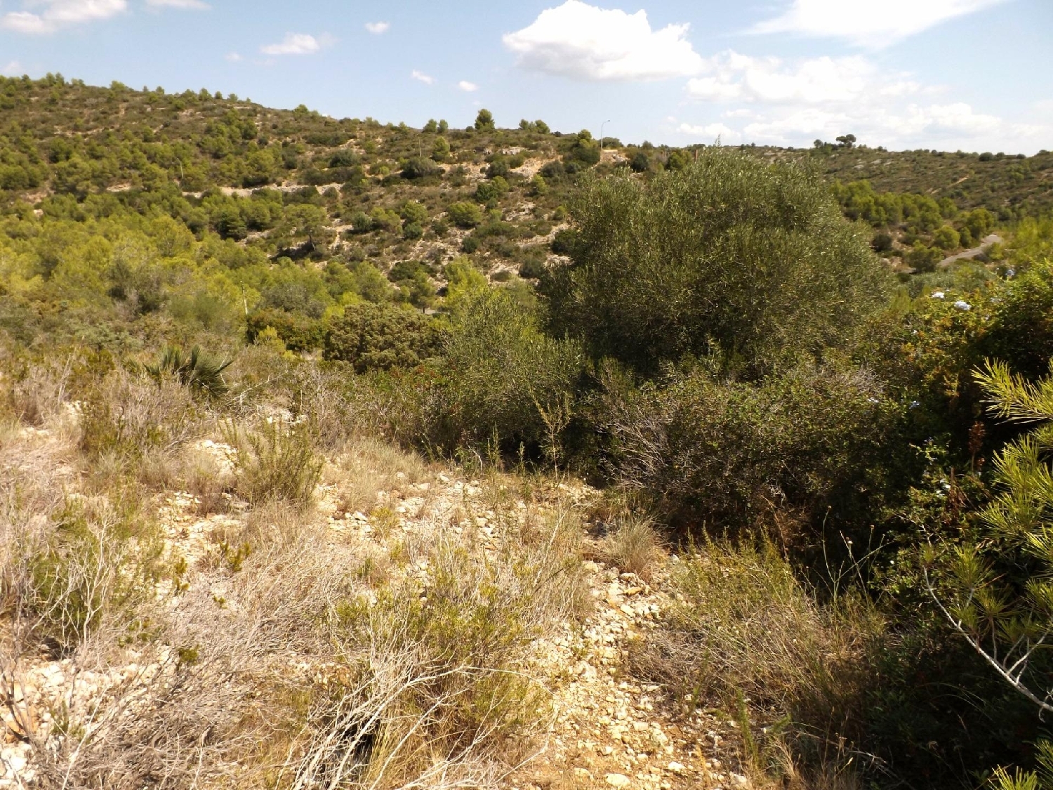  en venta terreno Segur De Calafell Baix Penedès 5