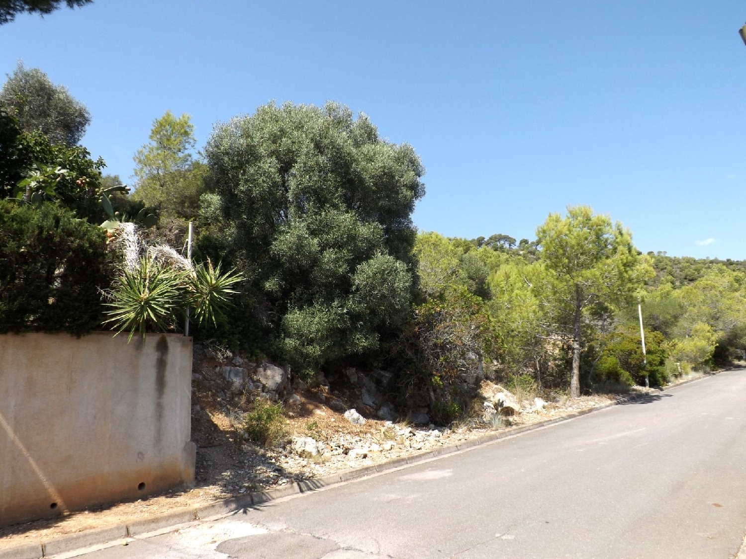  en venta terreno Segur De Calafell Baix Penedès 2