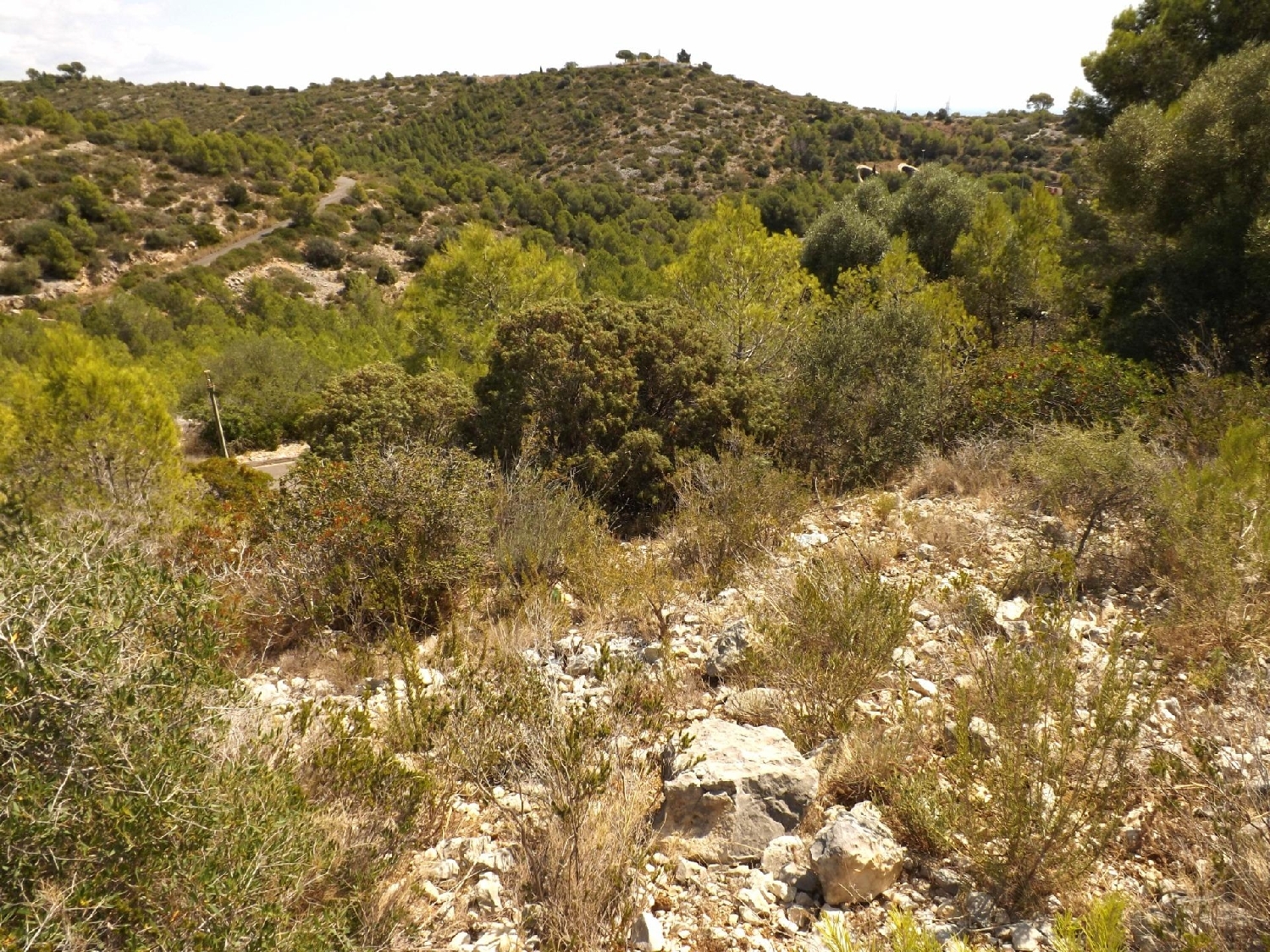  en venta terreno Segur De Calafell Baix Penedès 4