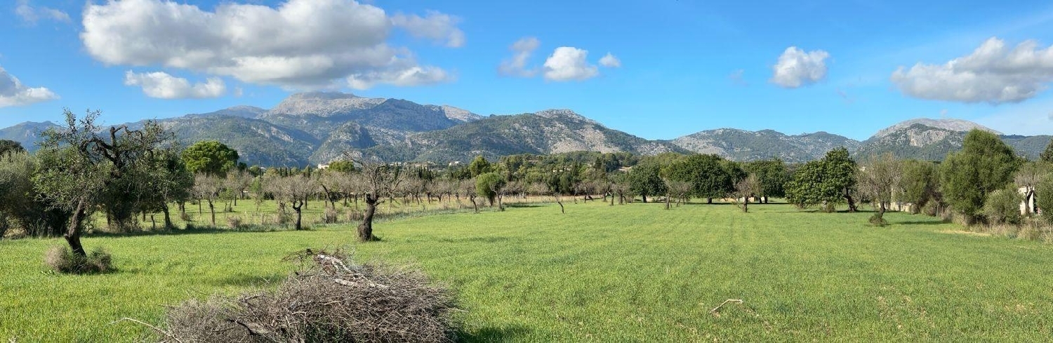  te koop perceel Selva Raiguer 3