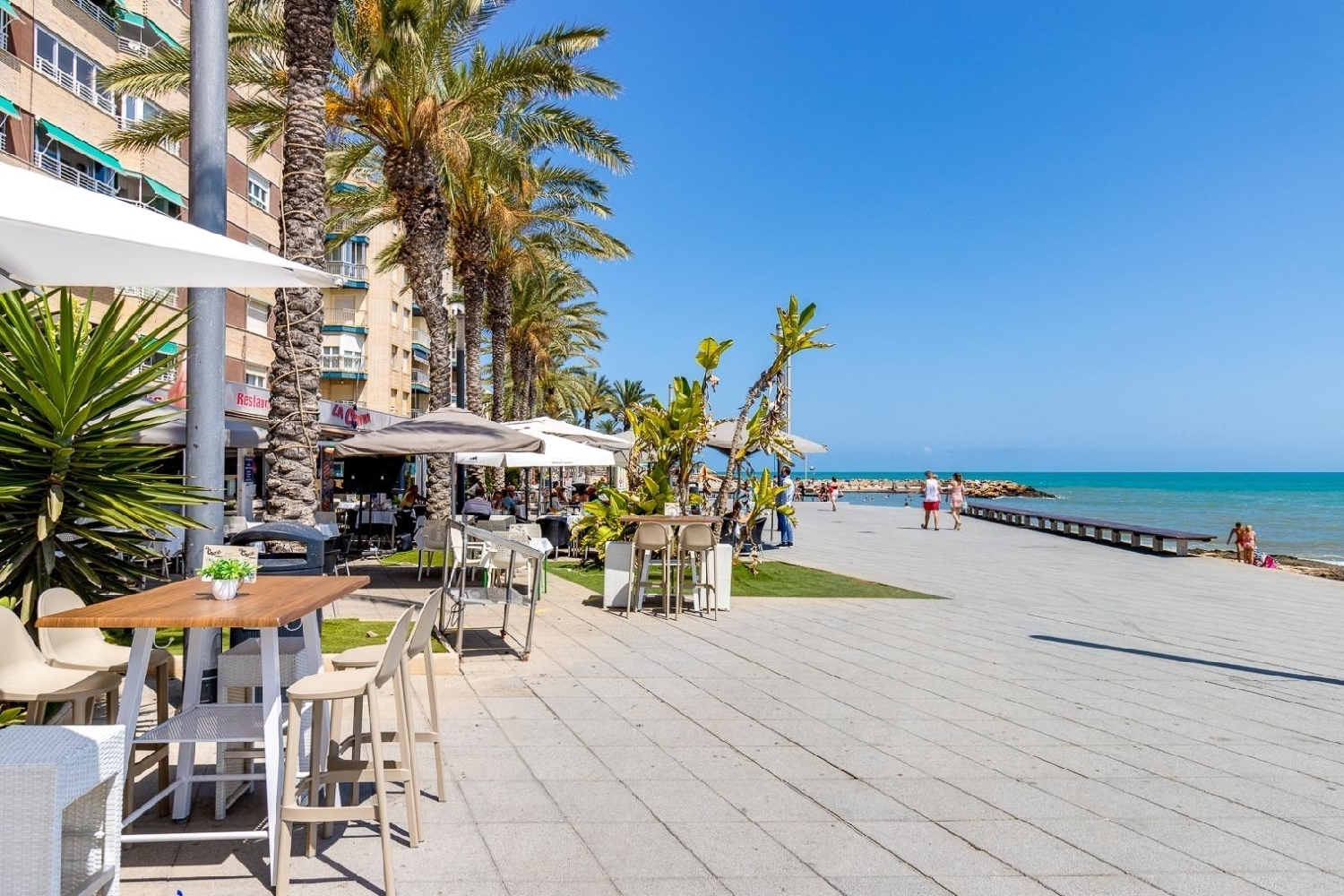  à vendre terrain Torrevieja Baix Segura 5