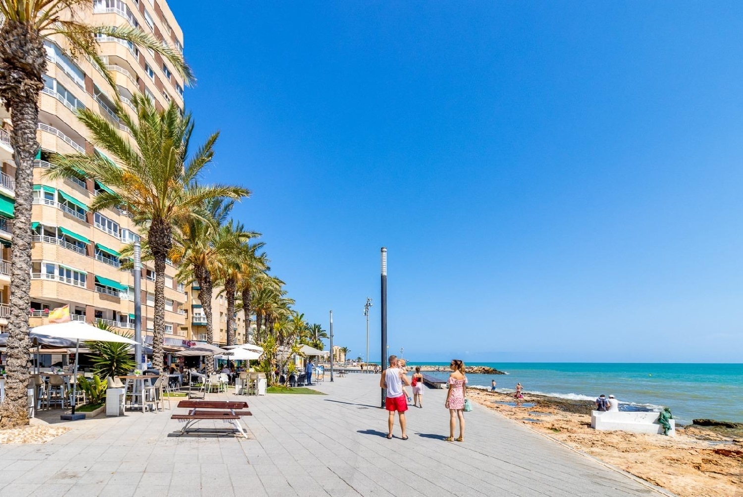  à vendre terrain Torrevieja Baix Segura 6