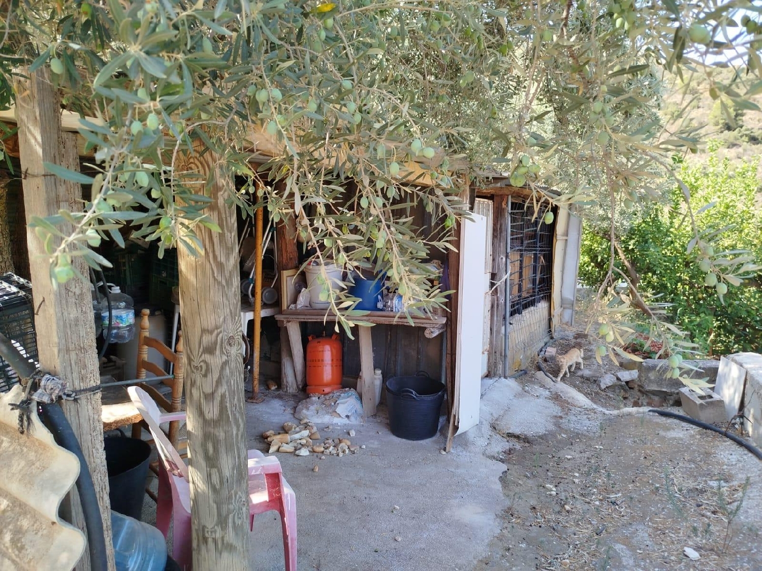  for sale plot Totalán Axarquía 7