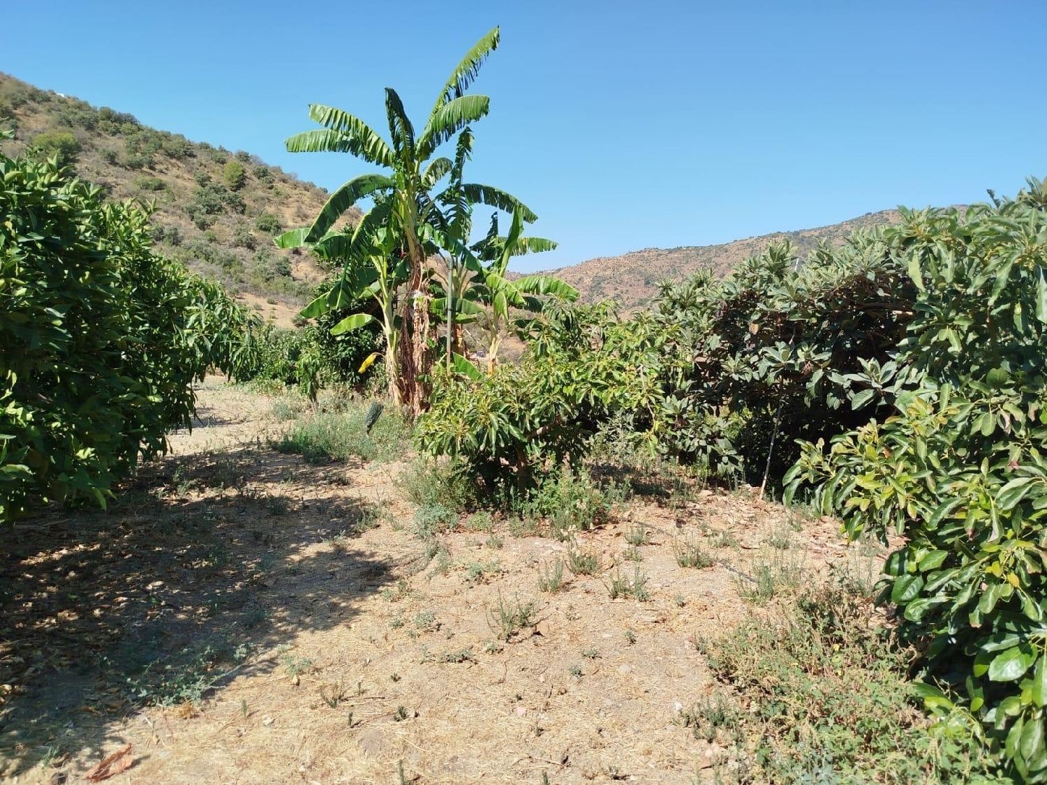 for sale plot Totalán Axarquía 3