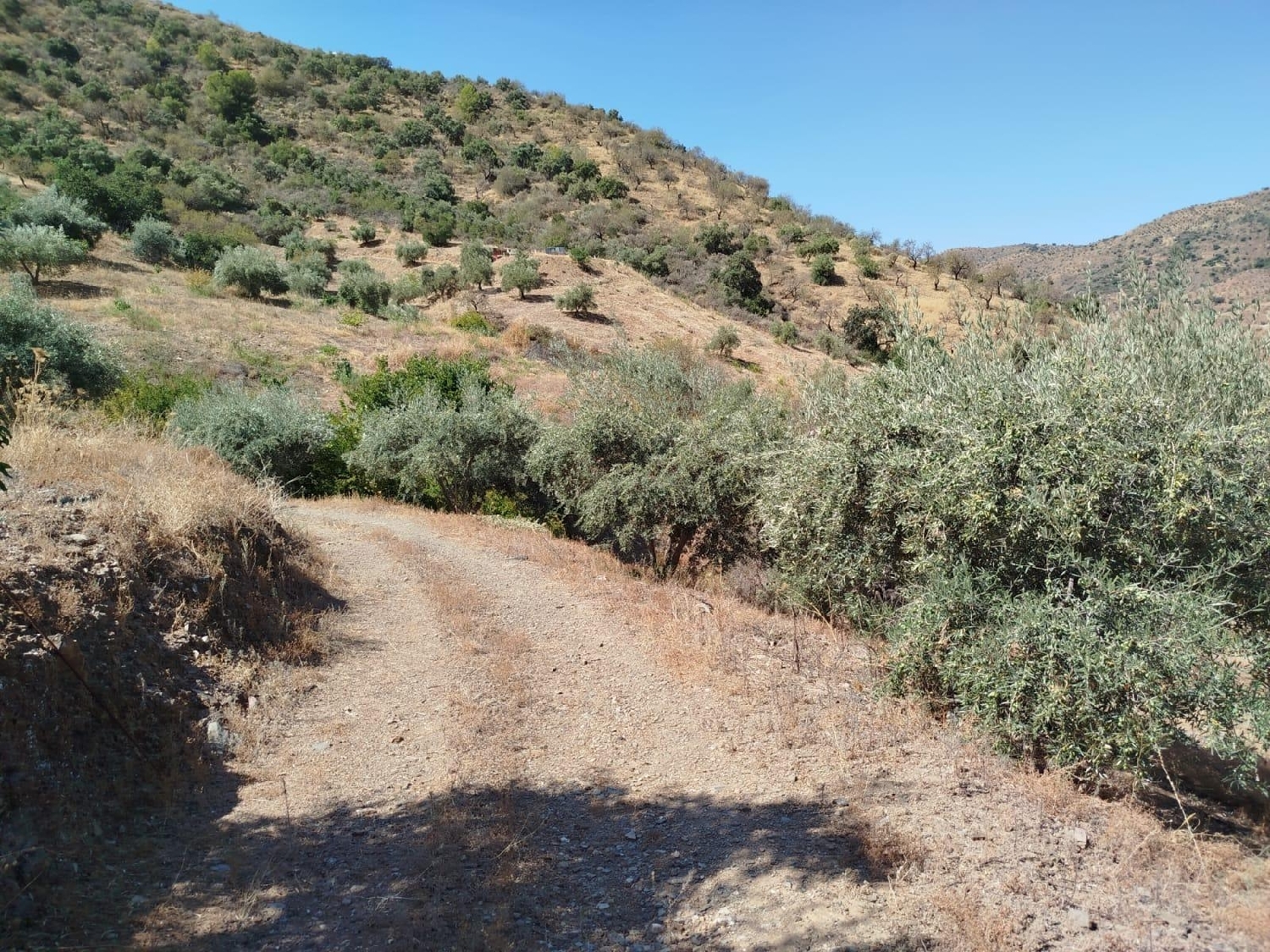  for sale plot Totalán Axarquía 1