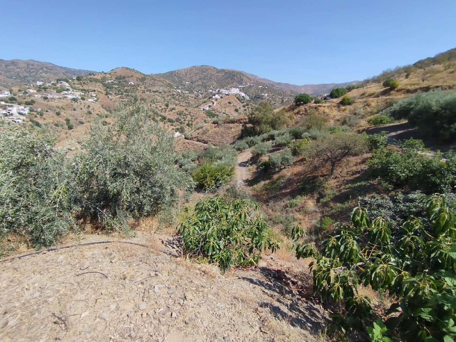  for sale plot Totalán Axarquía 8