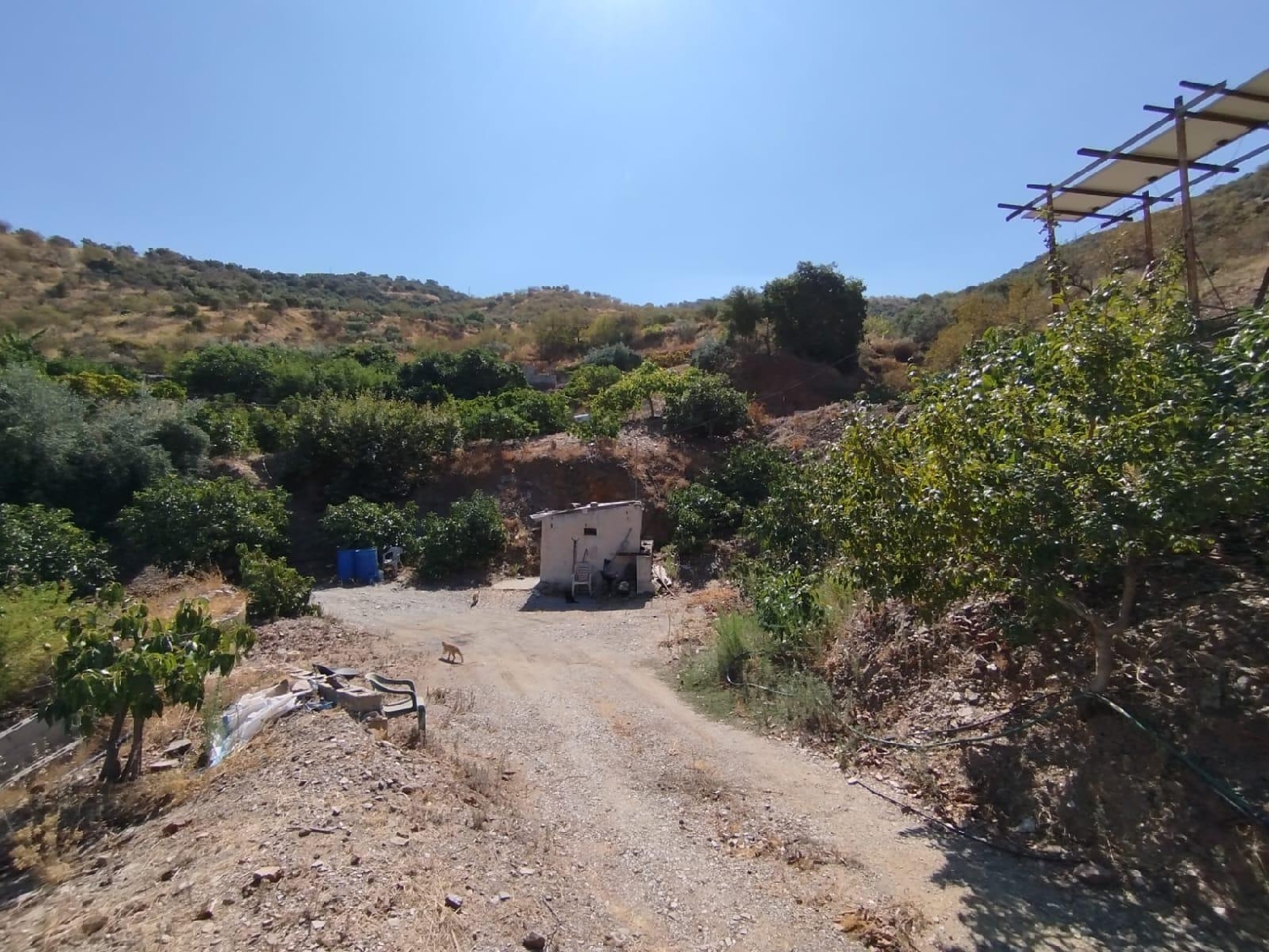 for sale plot Totalán Axarquía 6