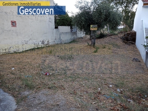 Valencia De Alcantara Sierra De San Pedro plot foto 6301478