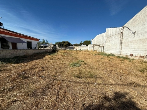 Valencina De La Concepción Metropolitana De Sevilla terreno foto 6299209