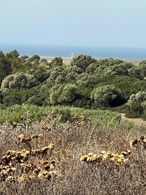 Vejer De La Frontera Janda (La) terreno foto 6301578