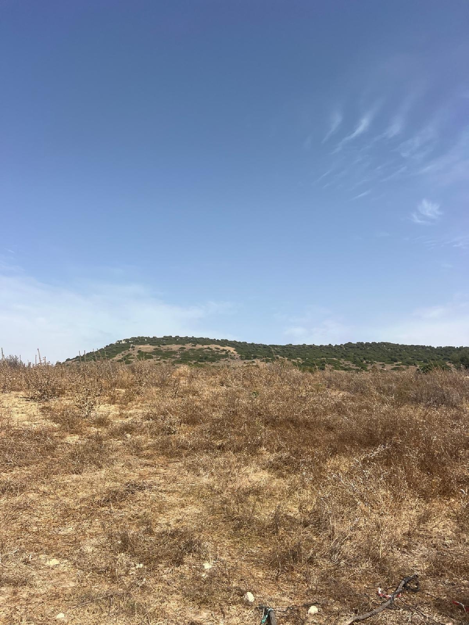  en venta terreno Vejer De La Frontera Janda (La) 6