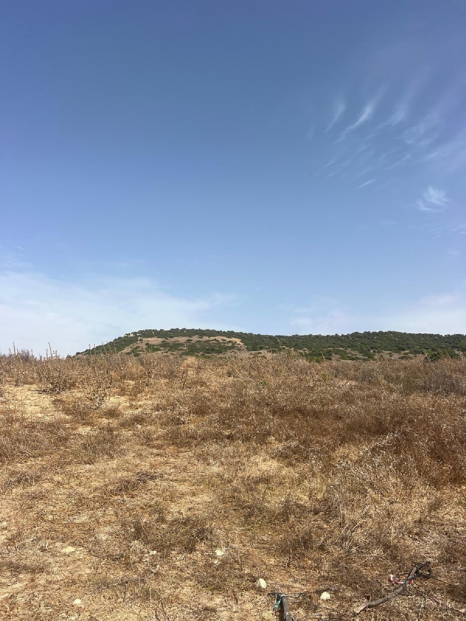  en venta terreno Vejer De La Frontera Janda (La) 7