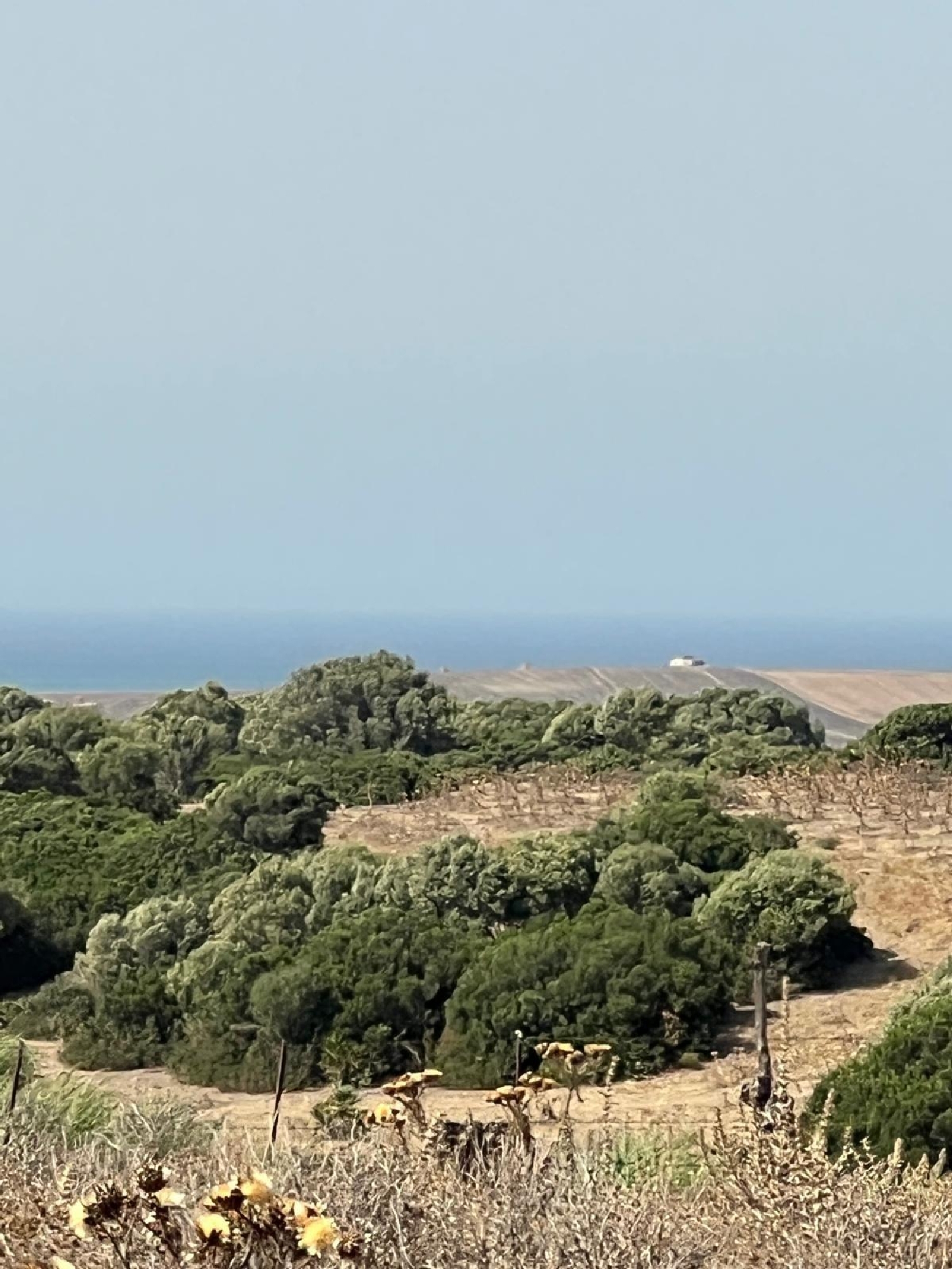  en venta terreno Vejer De La Frontera Janda (La) 3