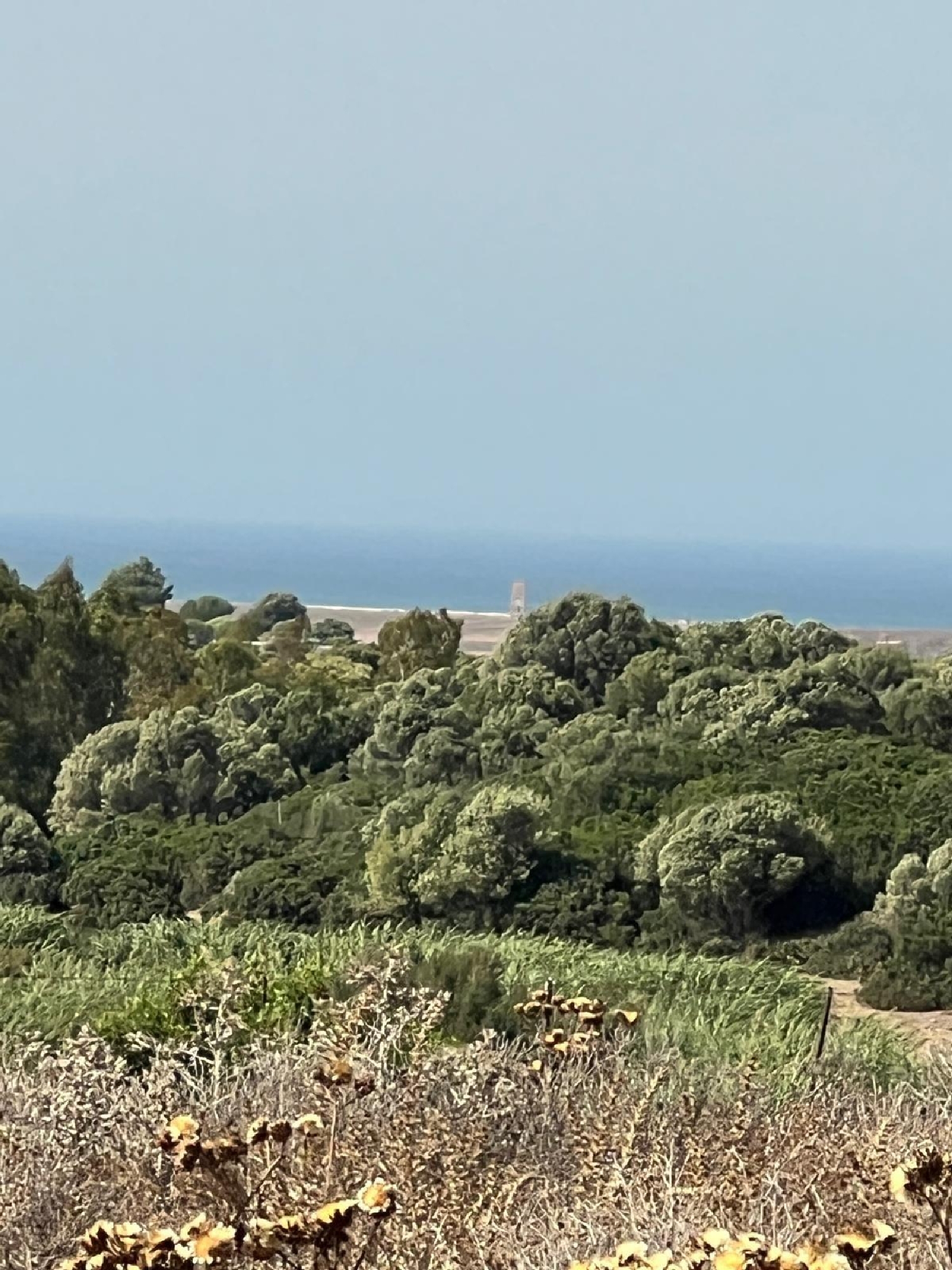  en venta terreno Vejer De La Frontera Janda (La) 2