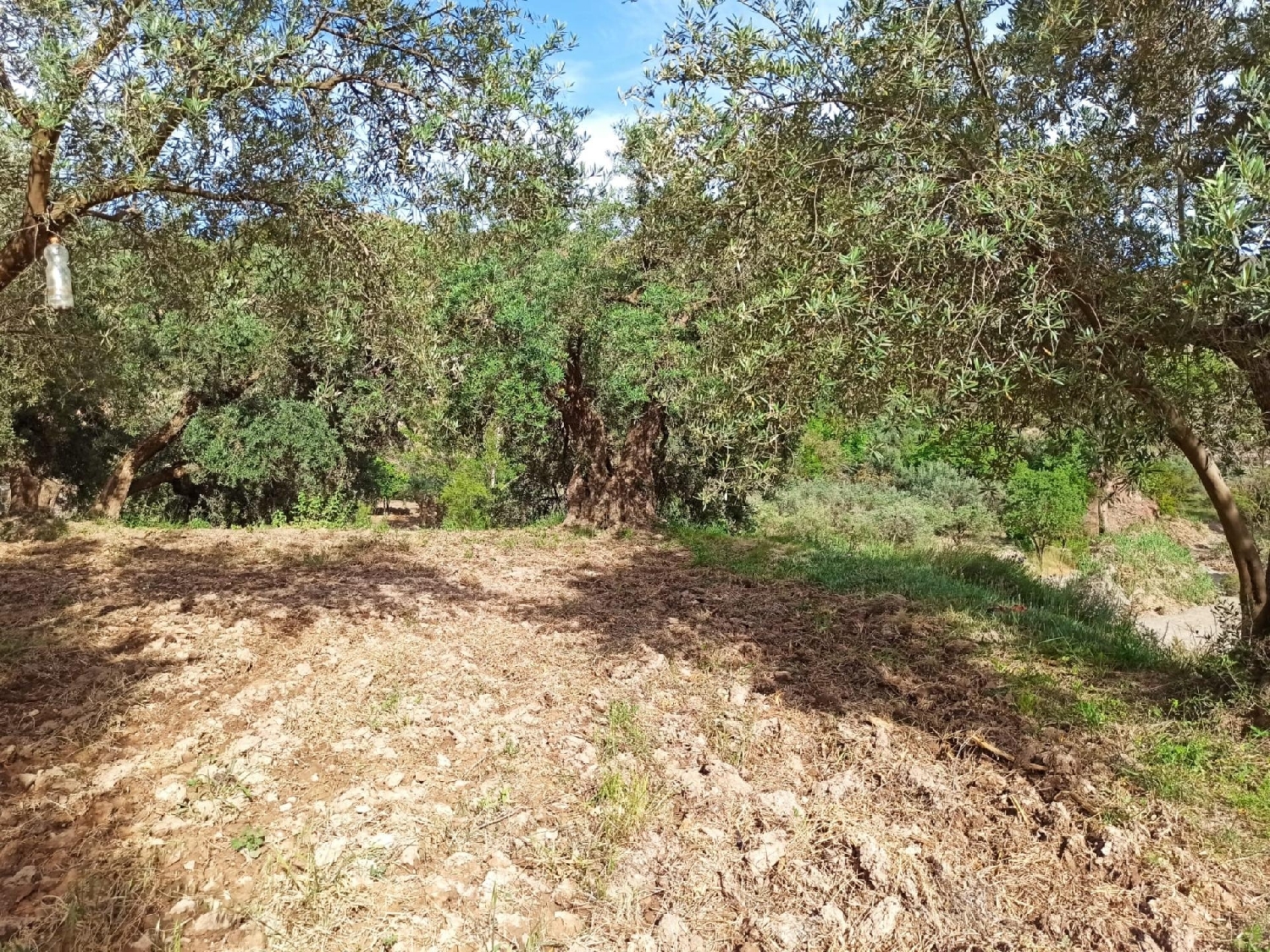  till salu tomt Ventas De Alcolea Mancha Del Júcar 4
