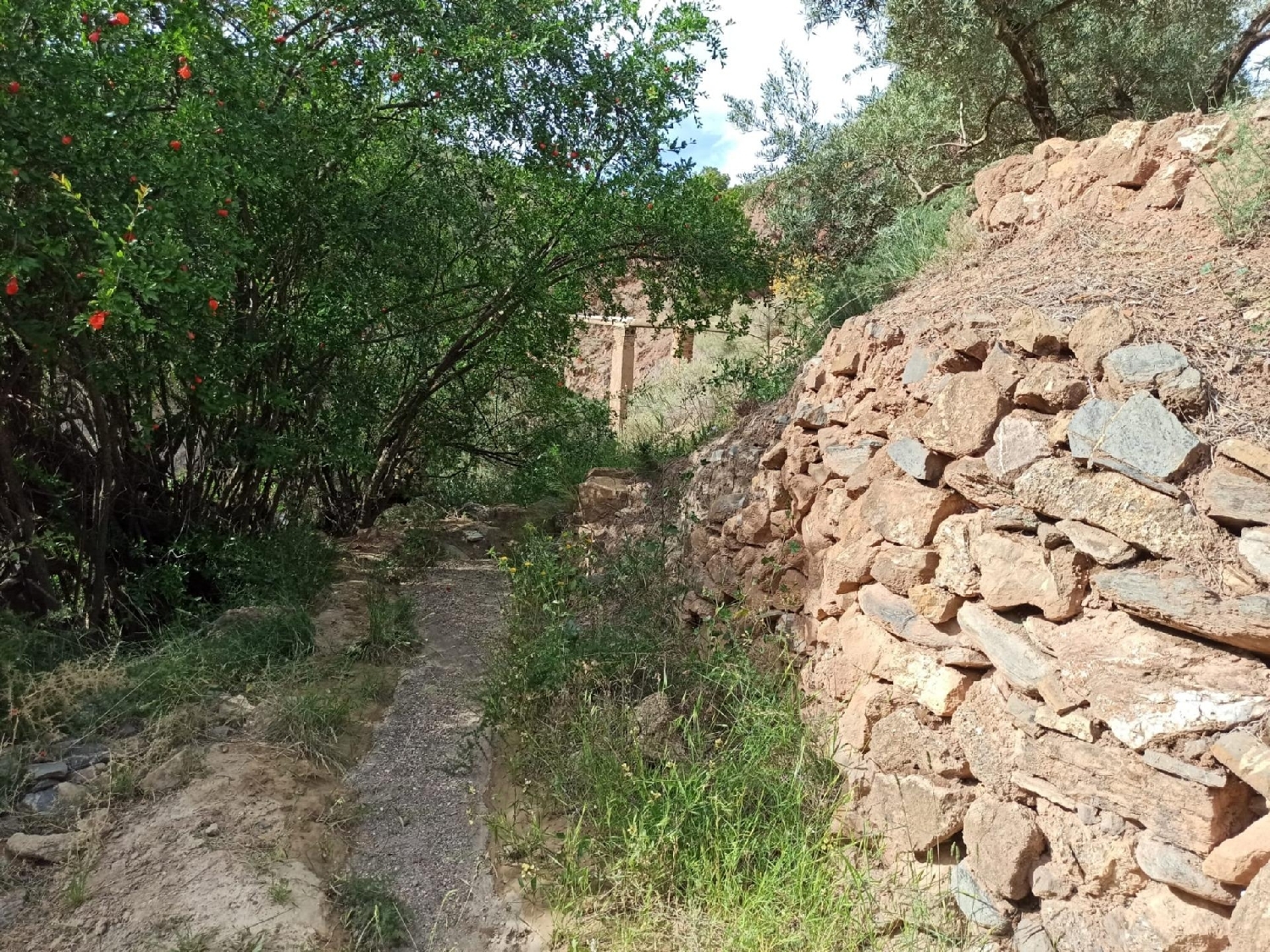  till salu tomt Ventas De Alcolea Mancha Del Júcar 8