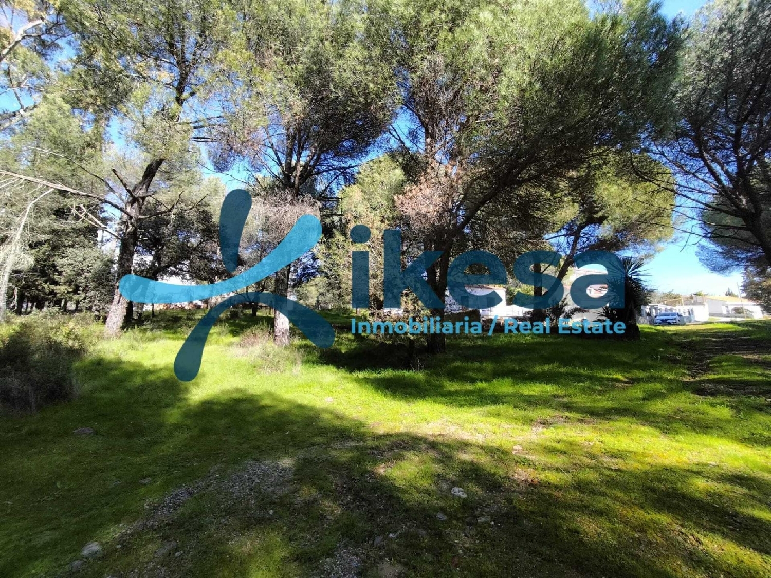  te koop perceel Villafranca De Córdoba Alto Guadalquivir 3