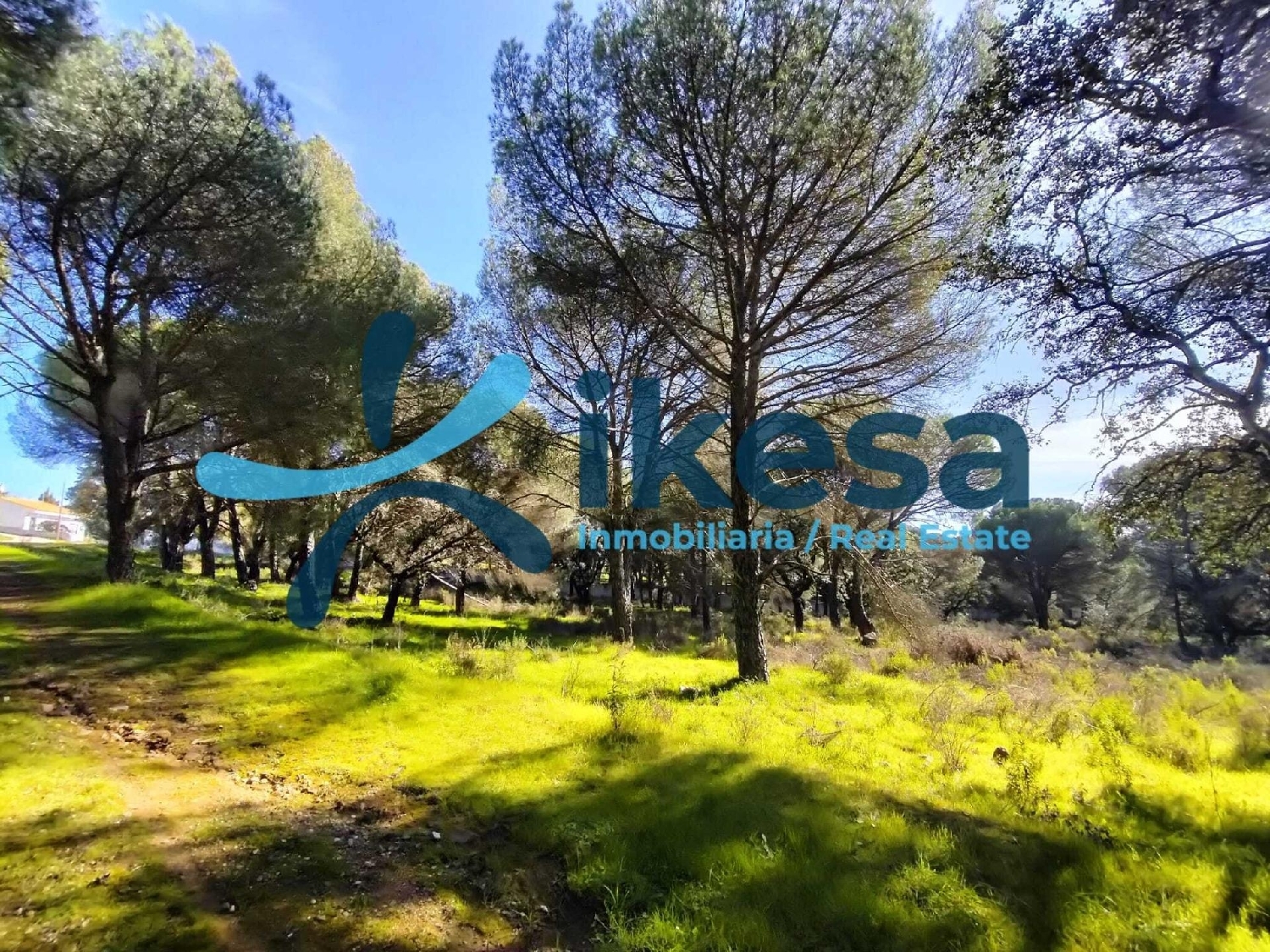  te koop perceel Villafranca De Córdoba Alto Guadalquivir 5