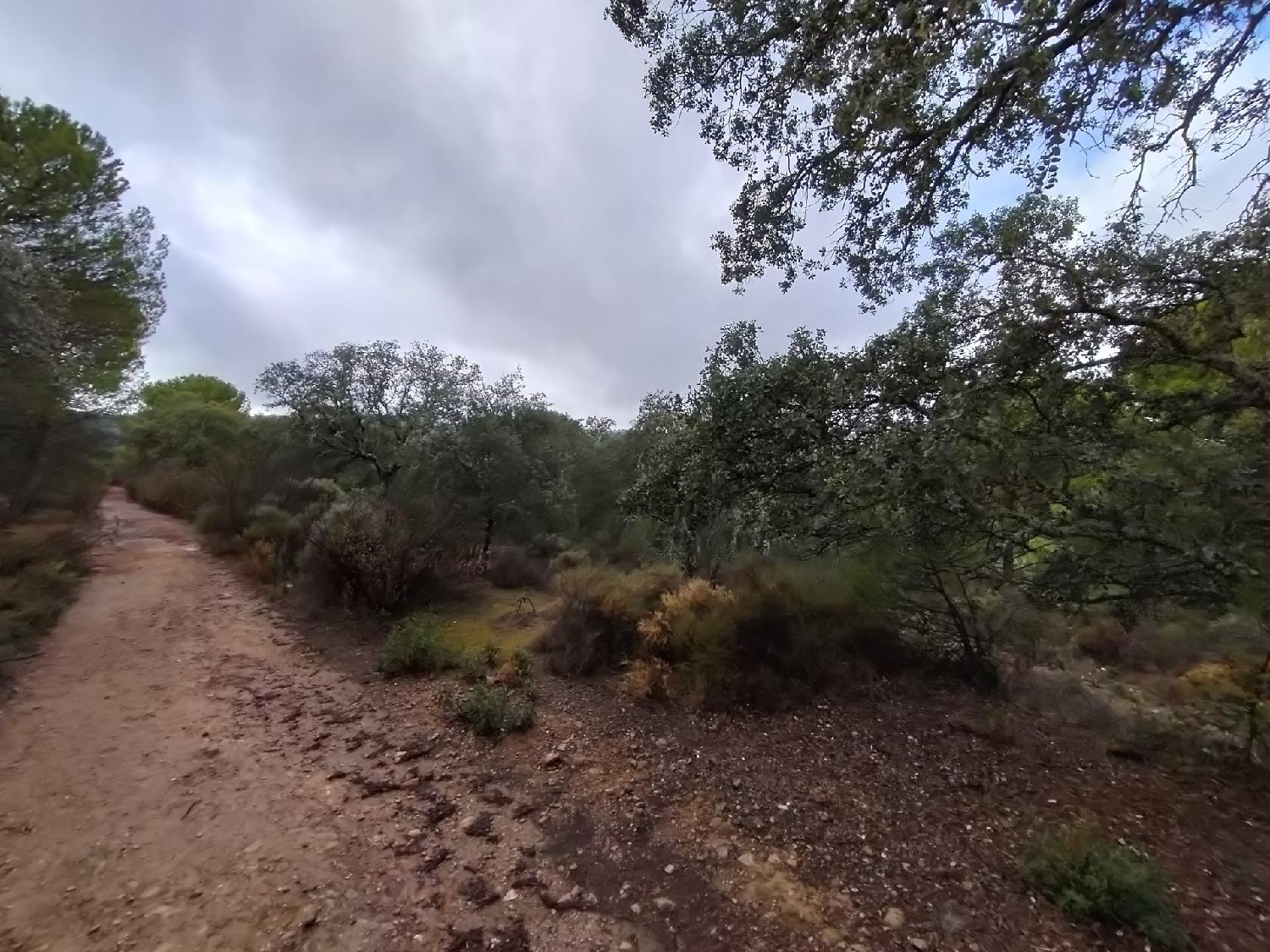  till salu tomt Villafranca De Córdoba Alto Guadalquivir 5
