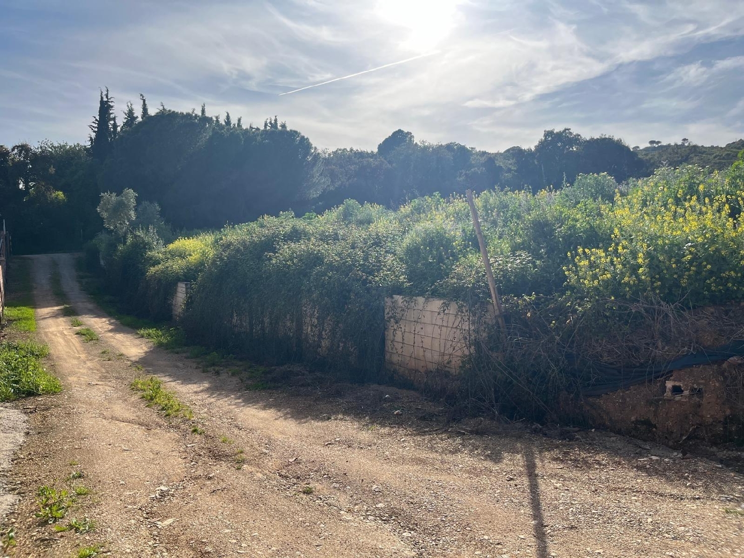  for sale plot Villafranca De Córdoba Alto Guadalquivir 5