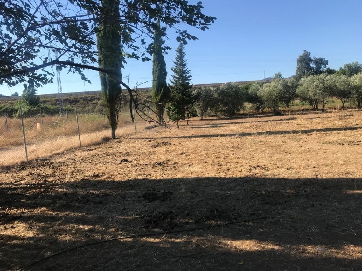  en venta terreno Villafranca De Córdoba Alto Guadalquivir 2