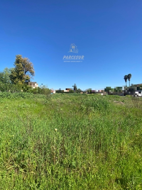 Villafranca De Córdoba Alto Guadalquivir perceel foto 6299602