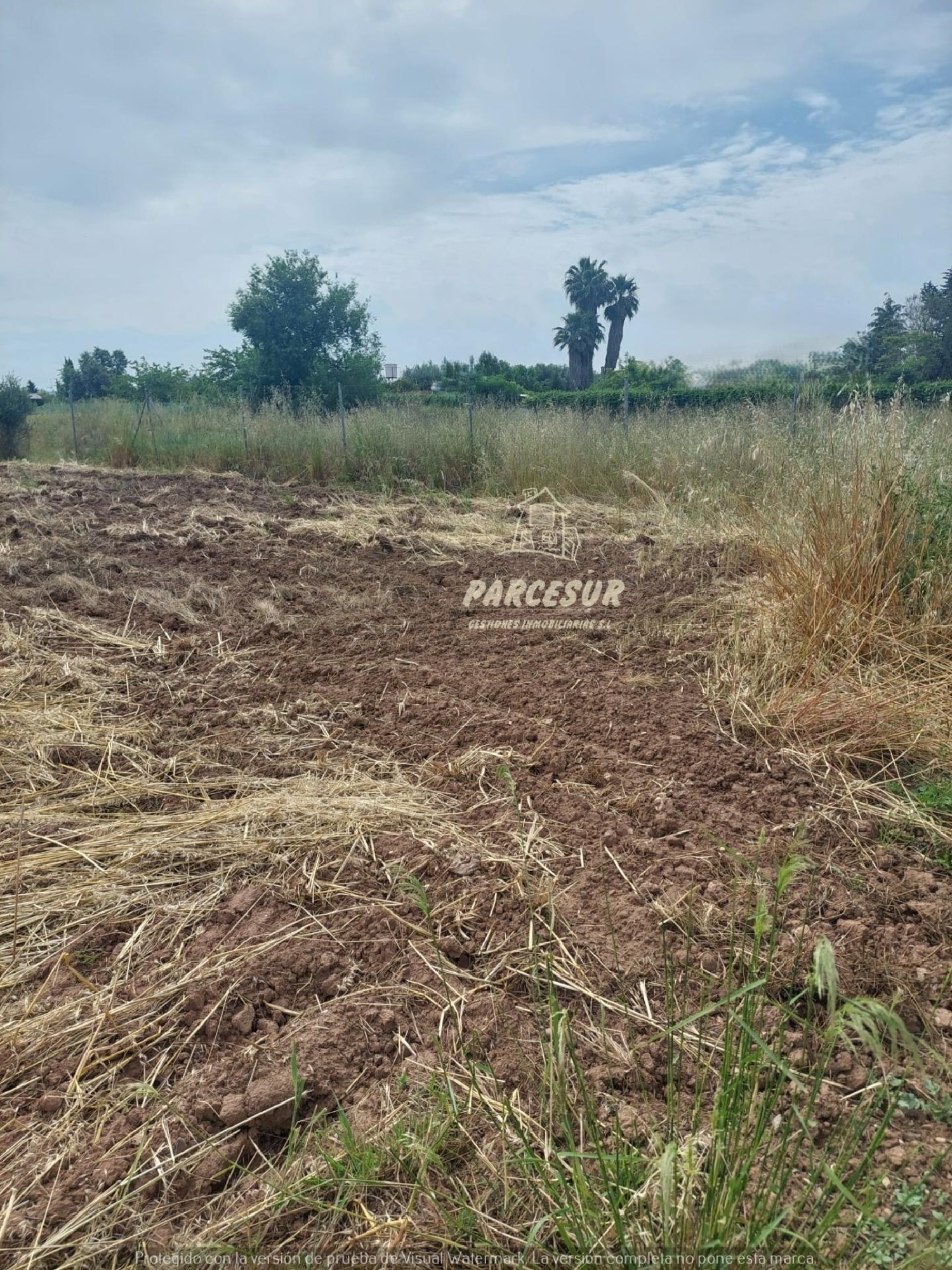  te koop perceel Villafranca De Córdoba Alto Guadalquivir 4