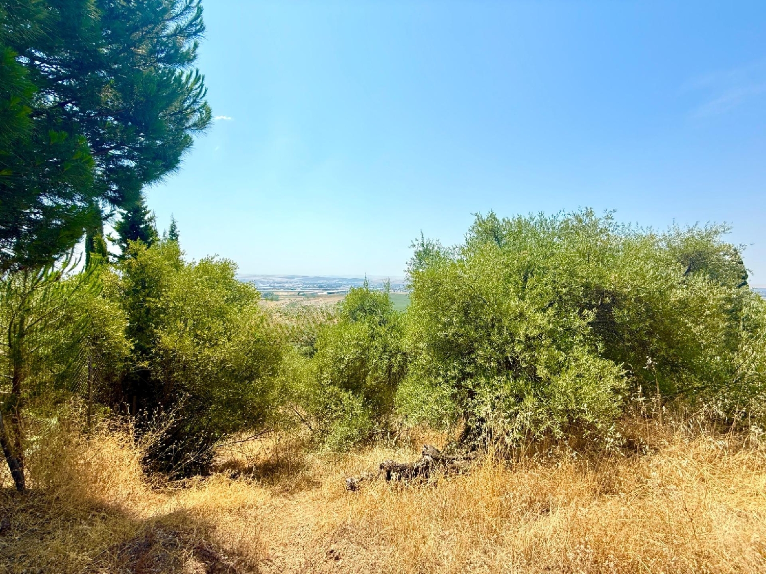  te koop perceel Villafranca De Córdoba Alto Guadalquivir 3