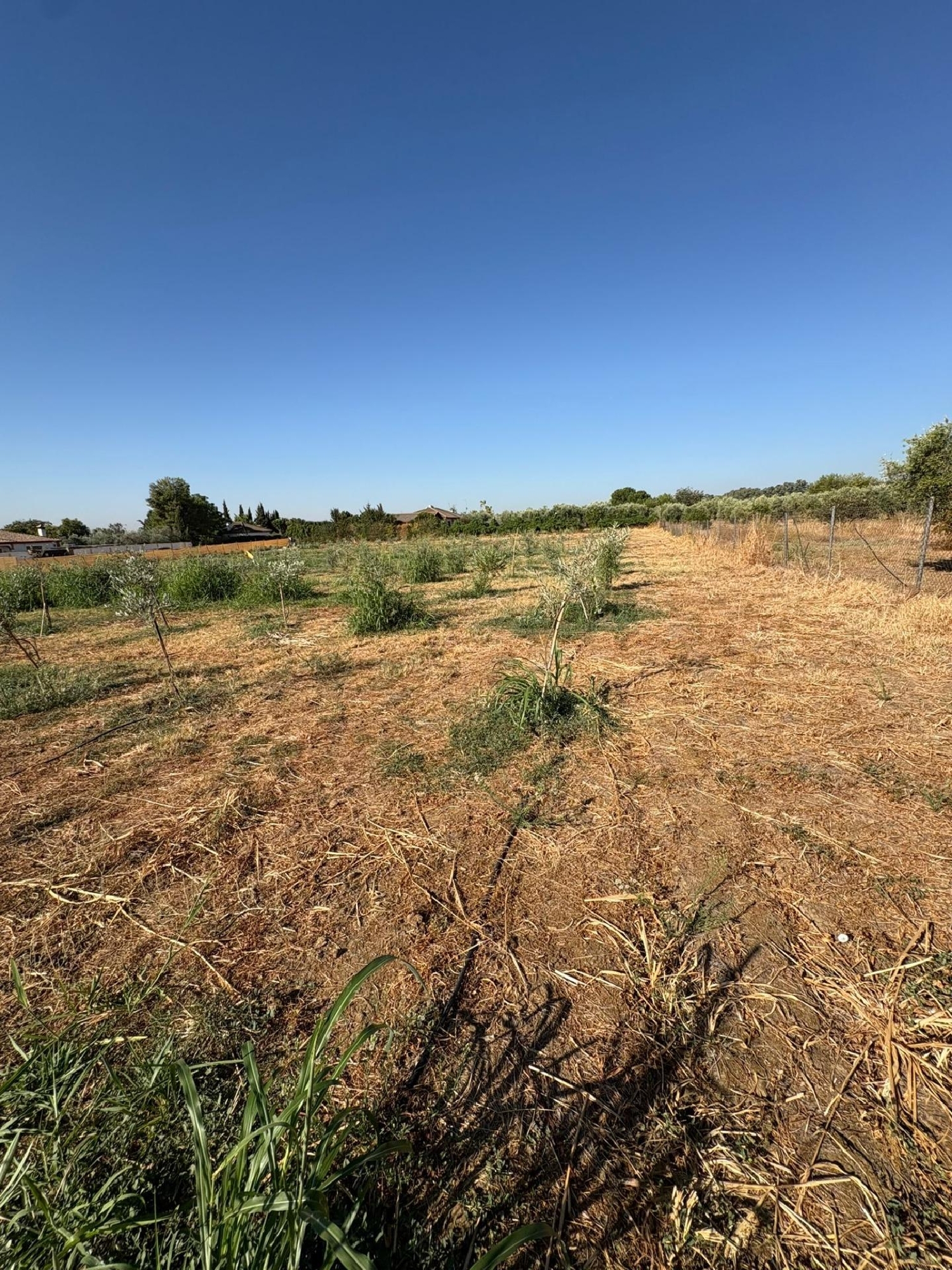 te koop perceel Villafranca De Córdoba Alto Guadalquivir 2