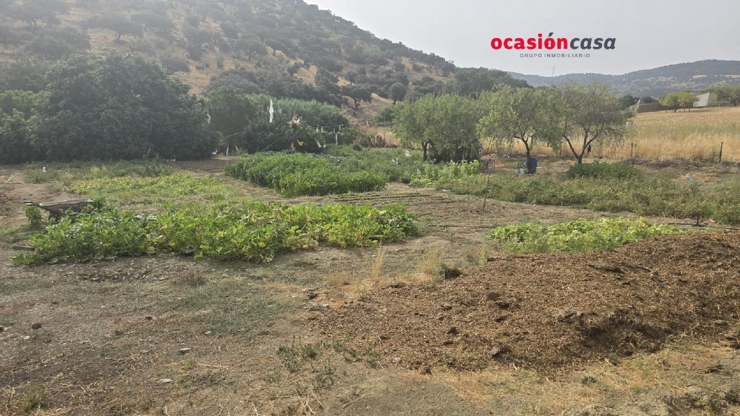  till salu tomt Villanueva Del Rey Valle Del Guadiato 8