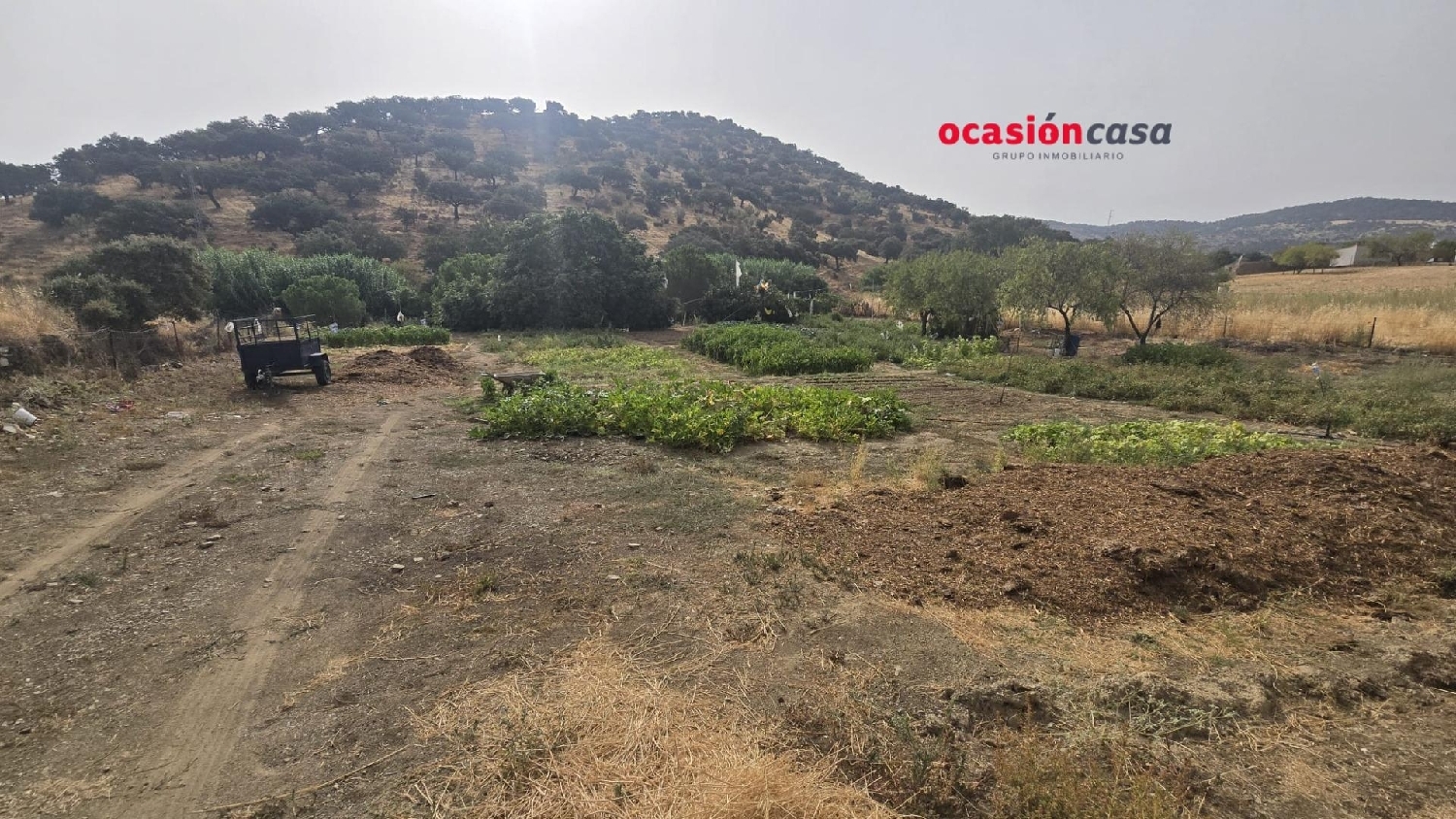  till salu tomt Villanueva Del Rey Valle Del Guadiato 6