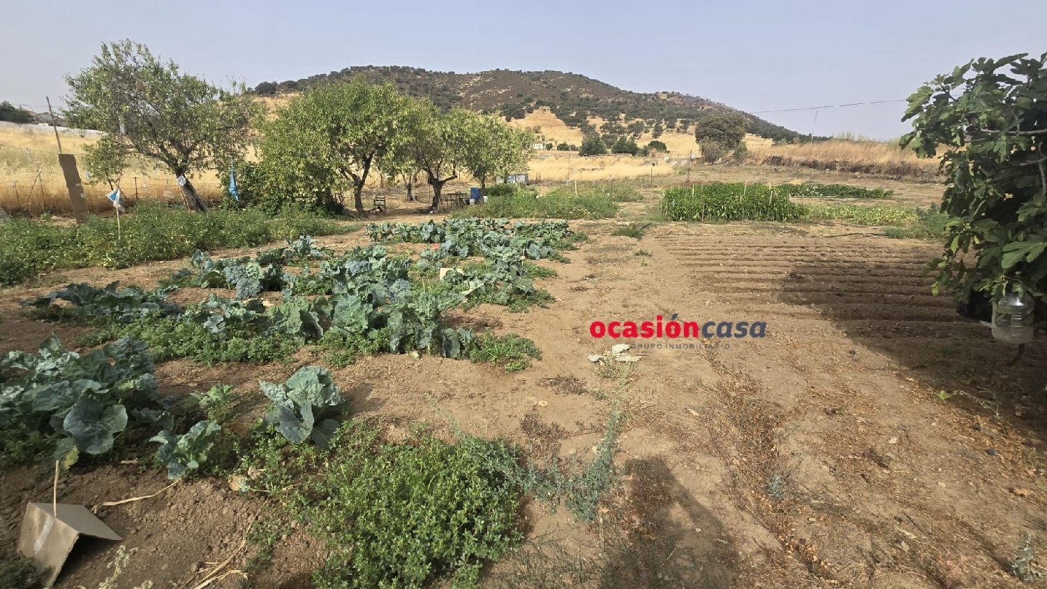  till salu tomt Villanueva Del Rey Valle Del Guadiato 2