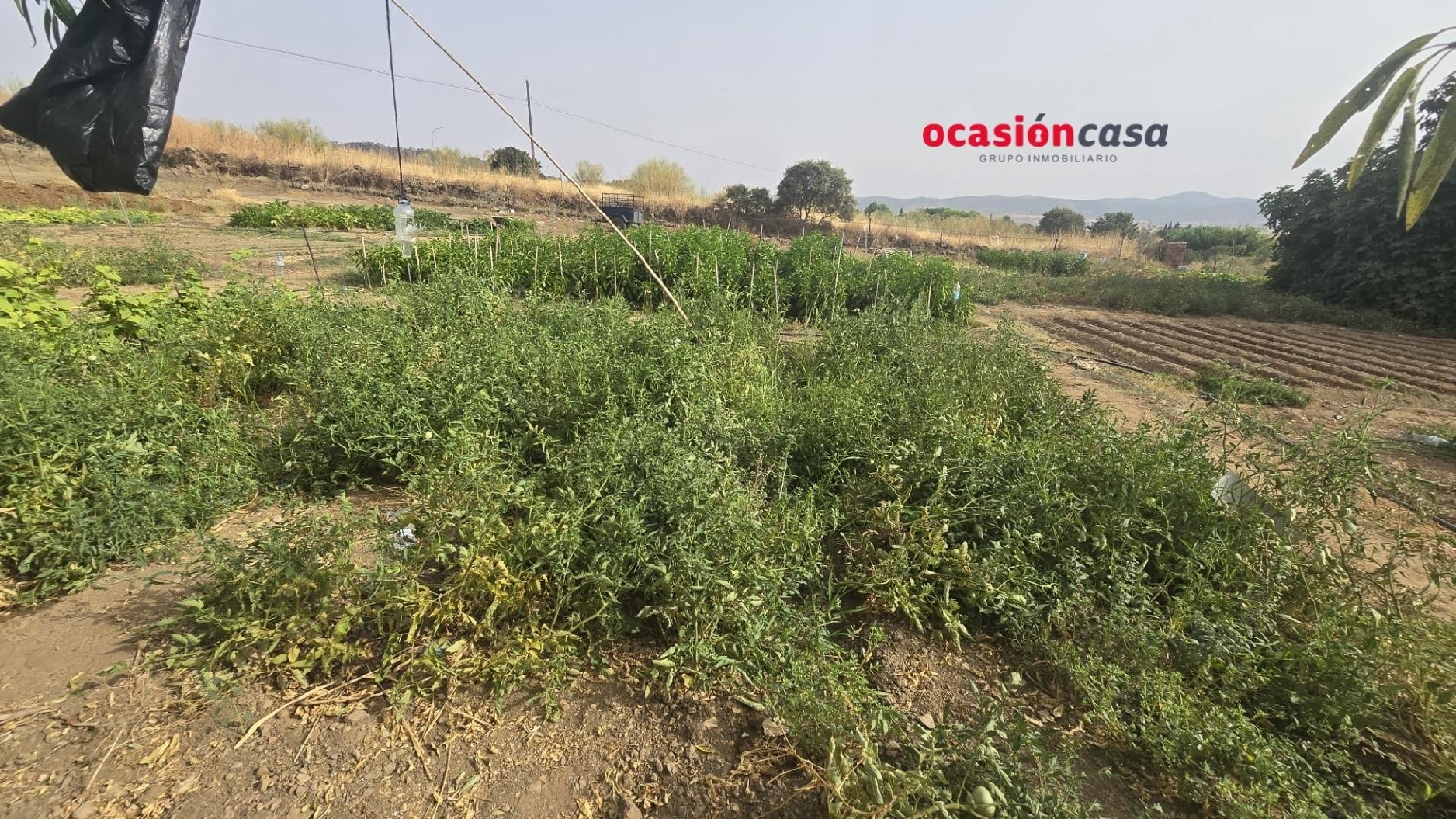  till salu tomt Villanueva Del Rey Valle Del Guadiato 5
