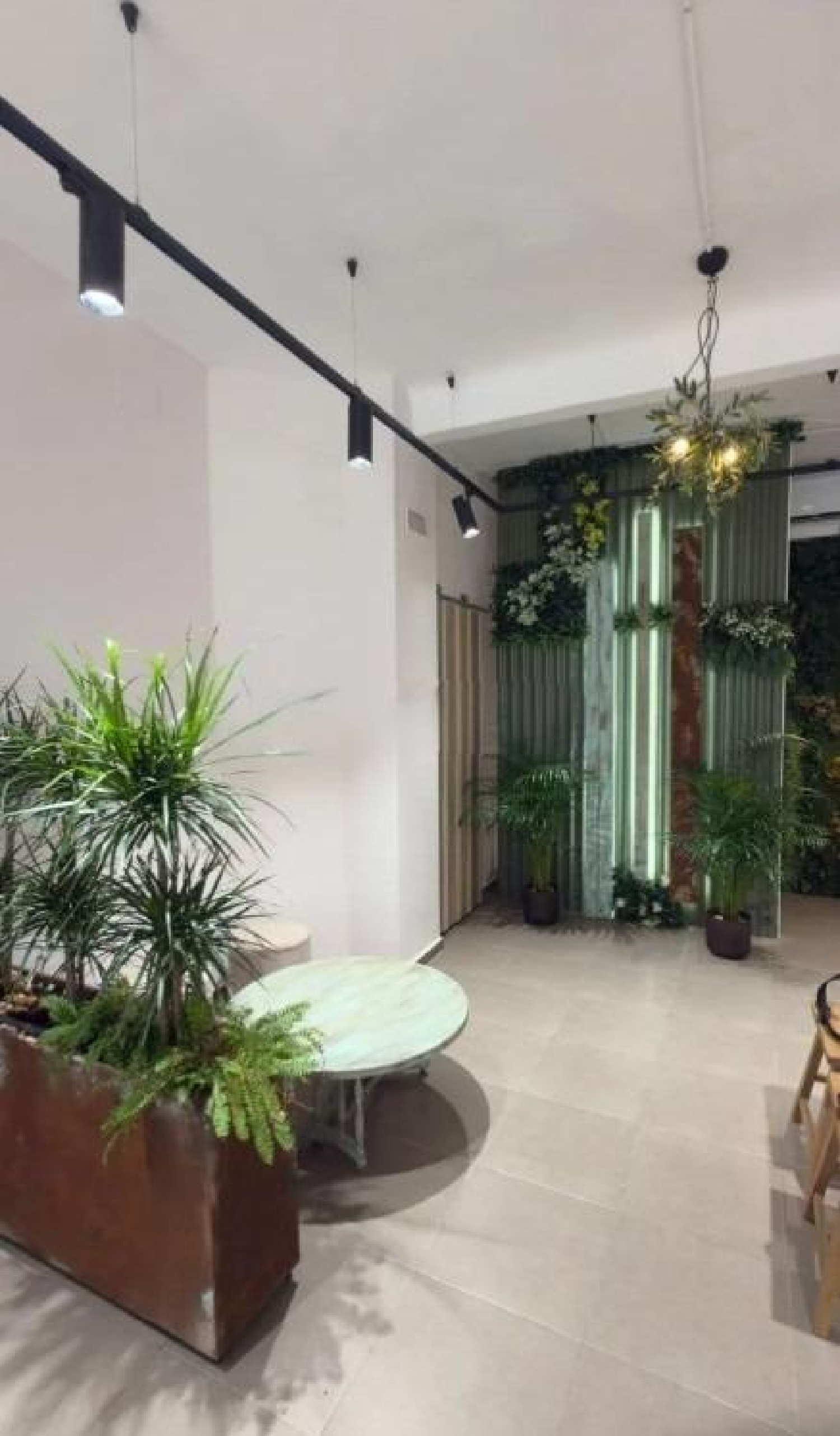  en venta local Alicante Centro 03001 Alacantí 3