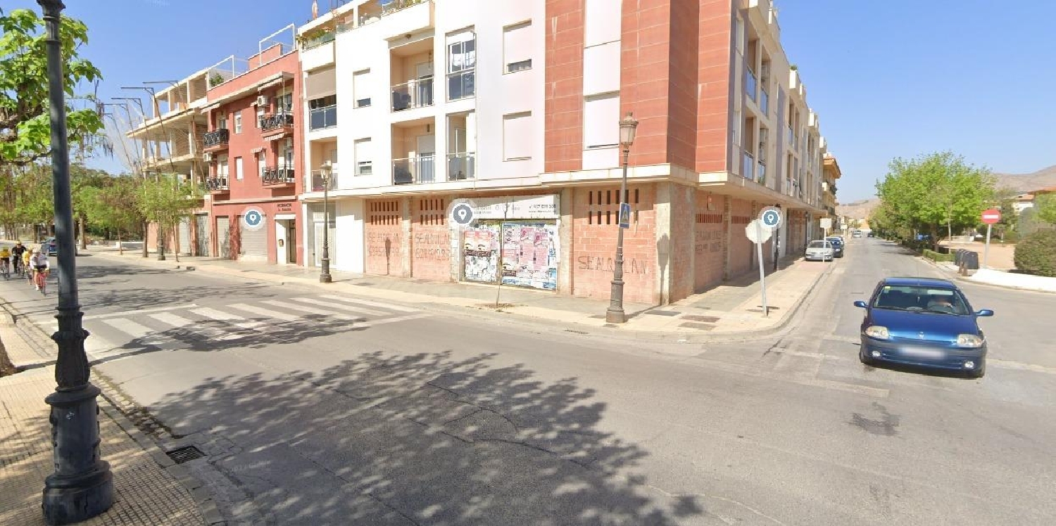  till salu lokal Atarfe Vega De Granada 4