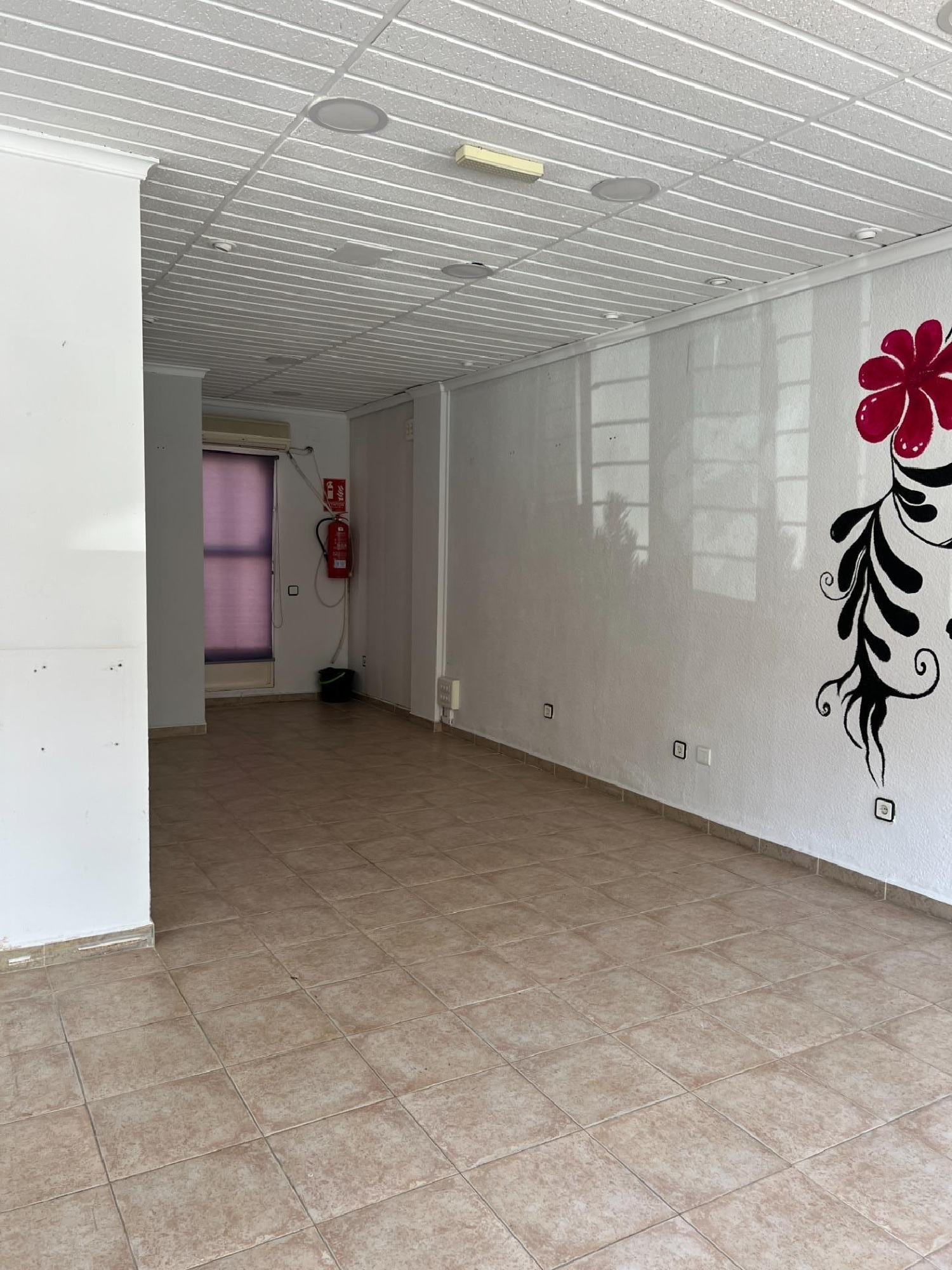  kaufen Gewerberaum Benidorm (Centro) Marina Baixa 8