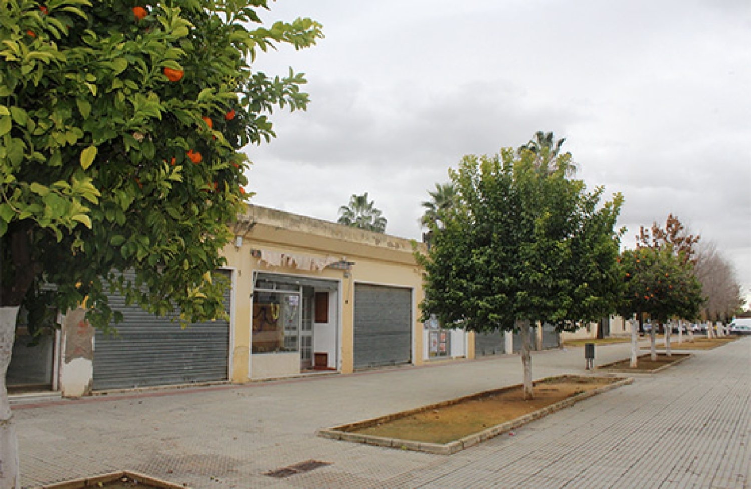  till salu lokal Cervera Del Río Alhama Rioja Baja 2