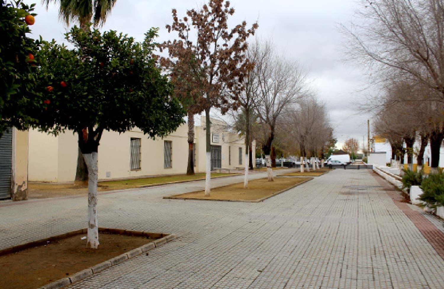  till salu lokal Cervera Del Río Alhama Rioja Baja 6