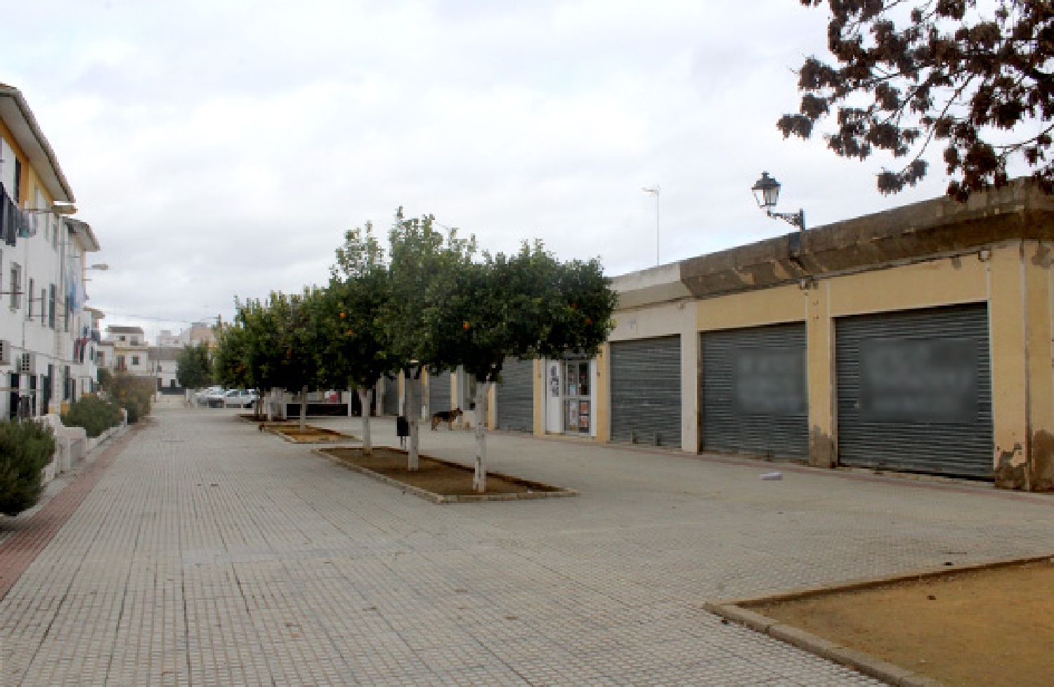  till salu lokal Cervera Del Río Alhama Rioja Baja 1